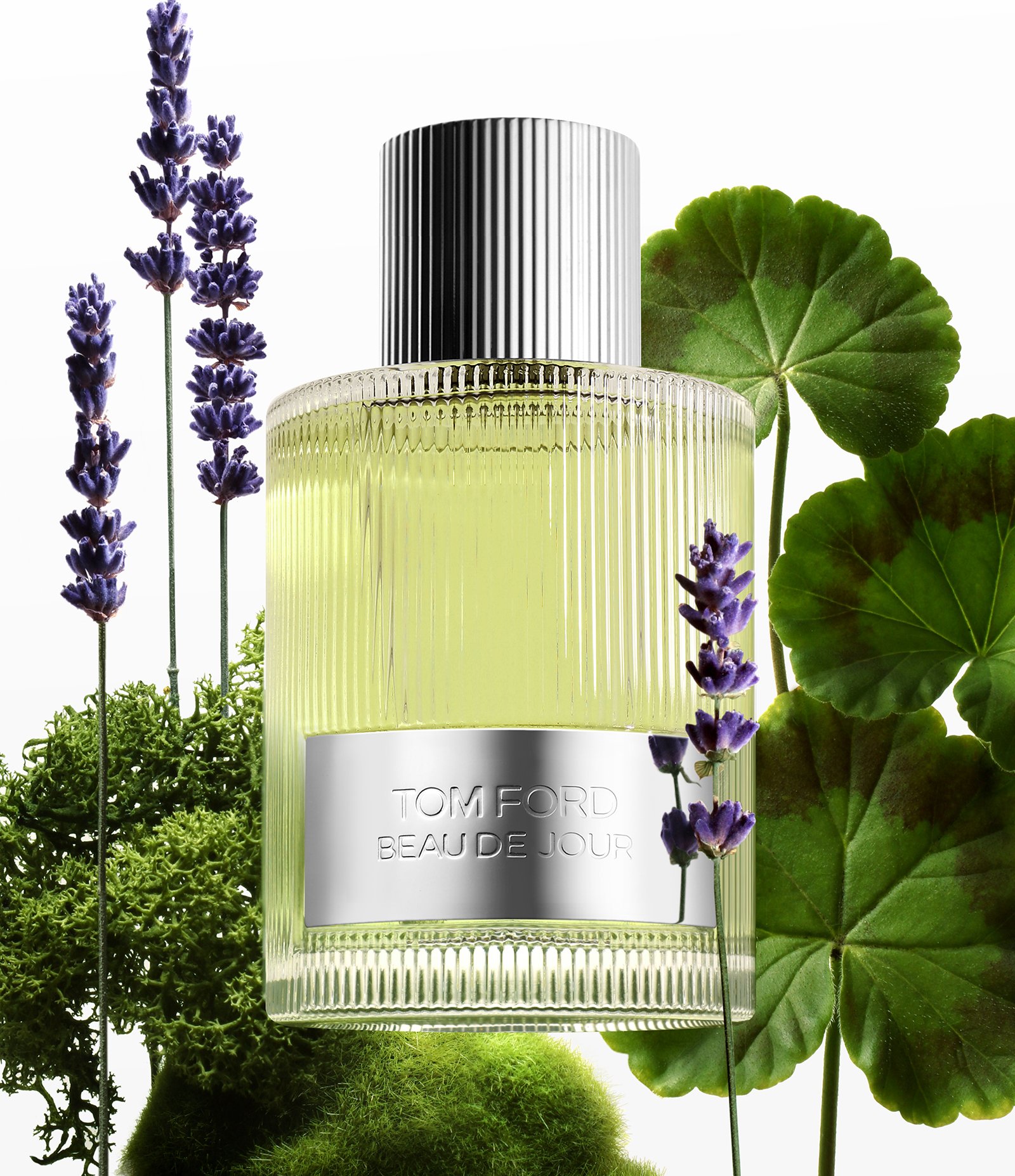 Perfume Tom Ford Beau de Jour EDP 100ML 2