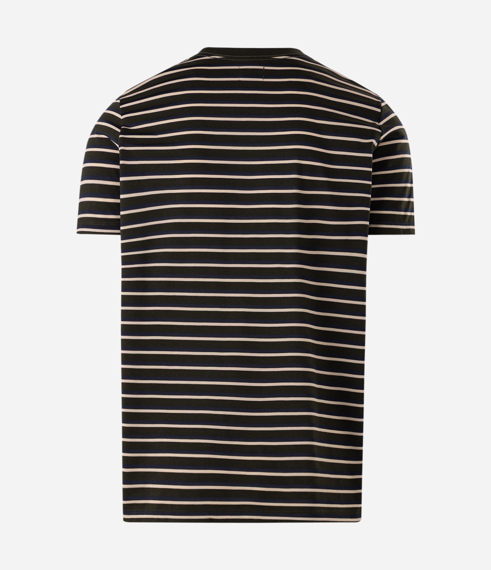 Camiseta Regular em Algodão com Listras em Fio Tinto Verde 6