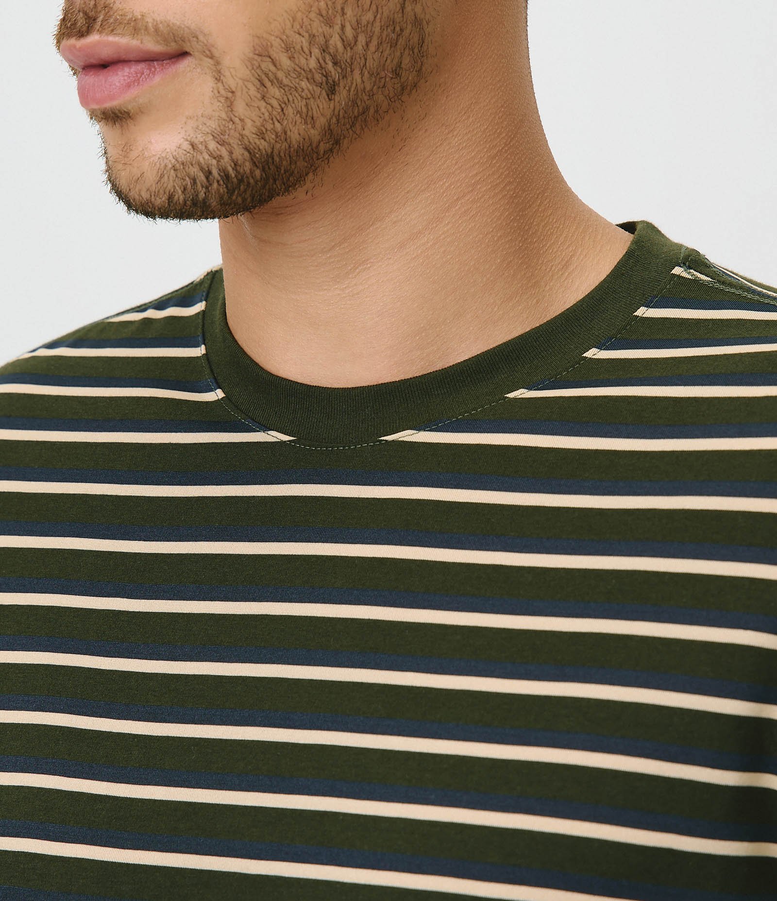 Camiseta Regular em Algodão com Listras em Fio Tinto Verde 2