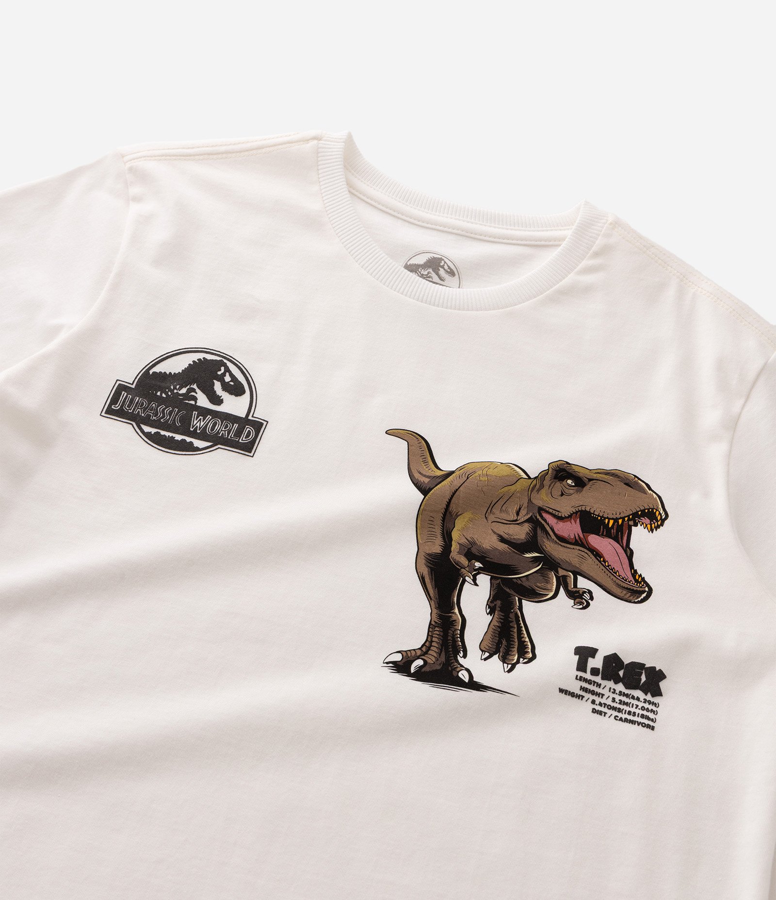 Conjunto Infantil Em Algodão Jurassic Bottom - Tam 7 A 16 Anos Multicores 5