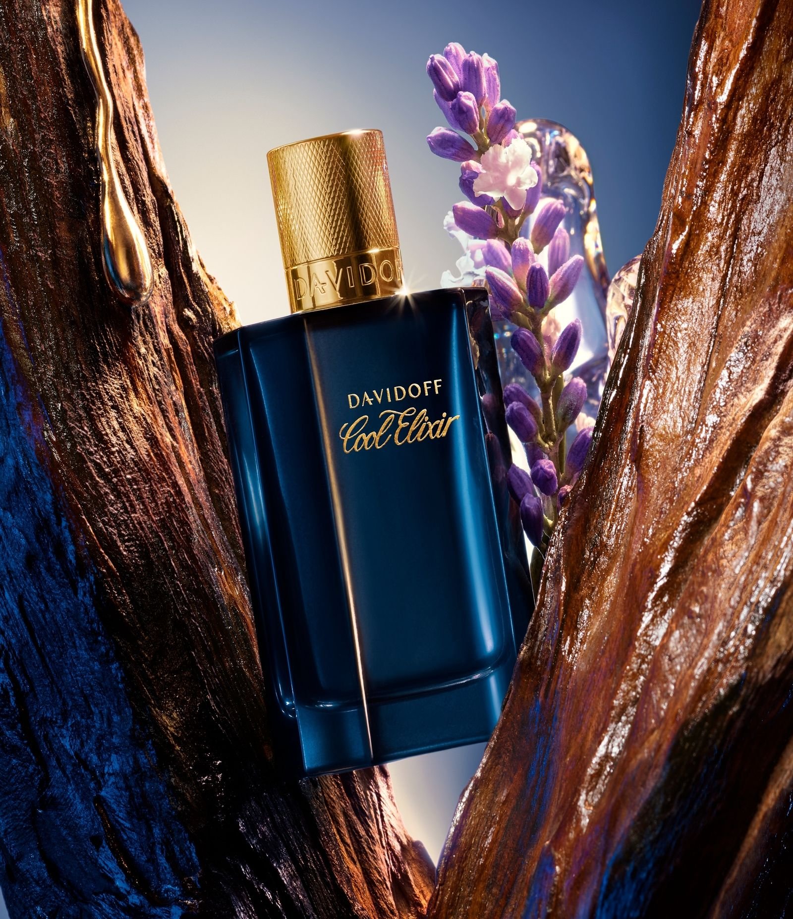 Perfume Davidoff Cool Man Elixir Parfum 100ML 6