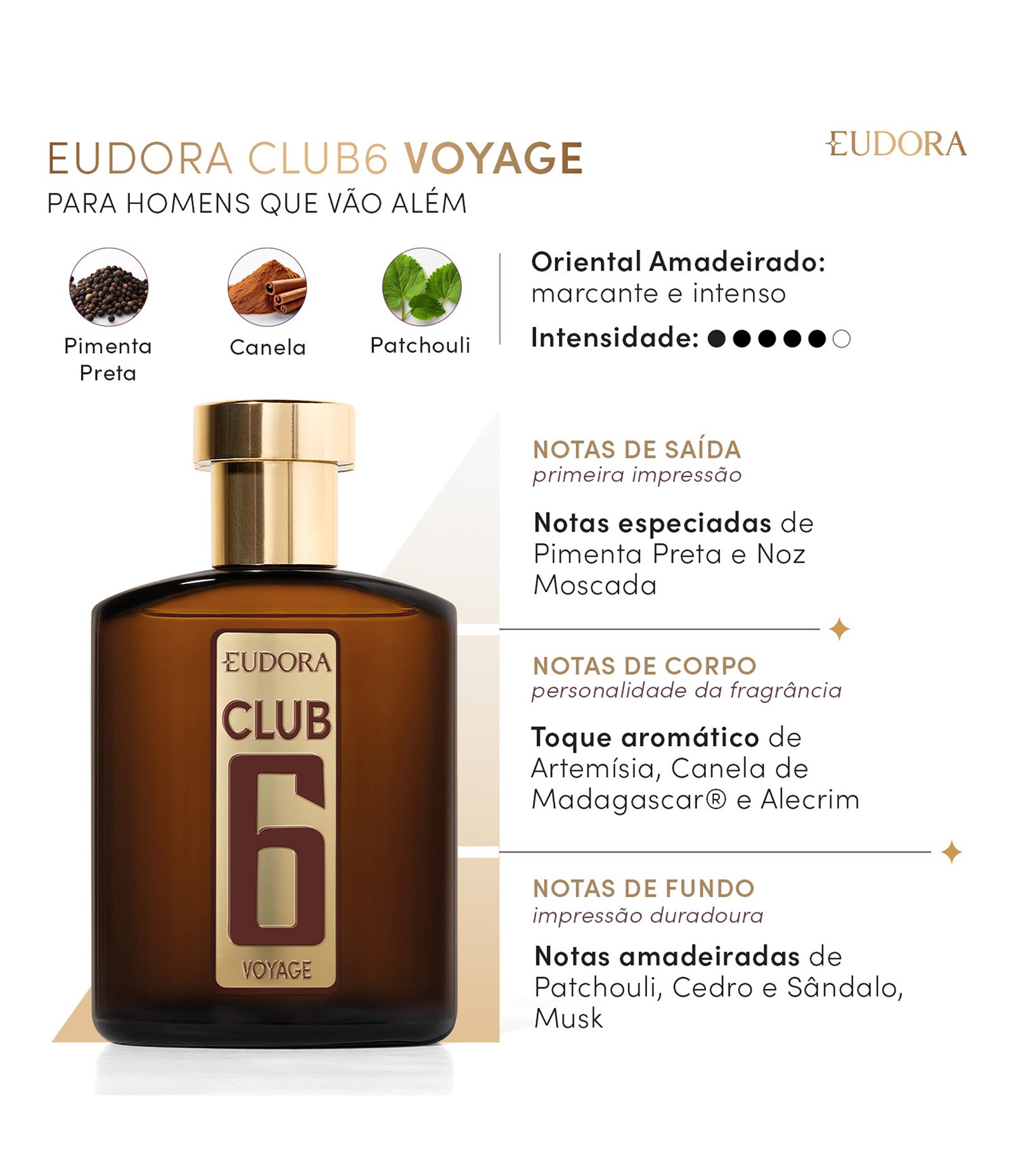 Perfume Club 6 Voyage Desodorante Colonia 95ml 2