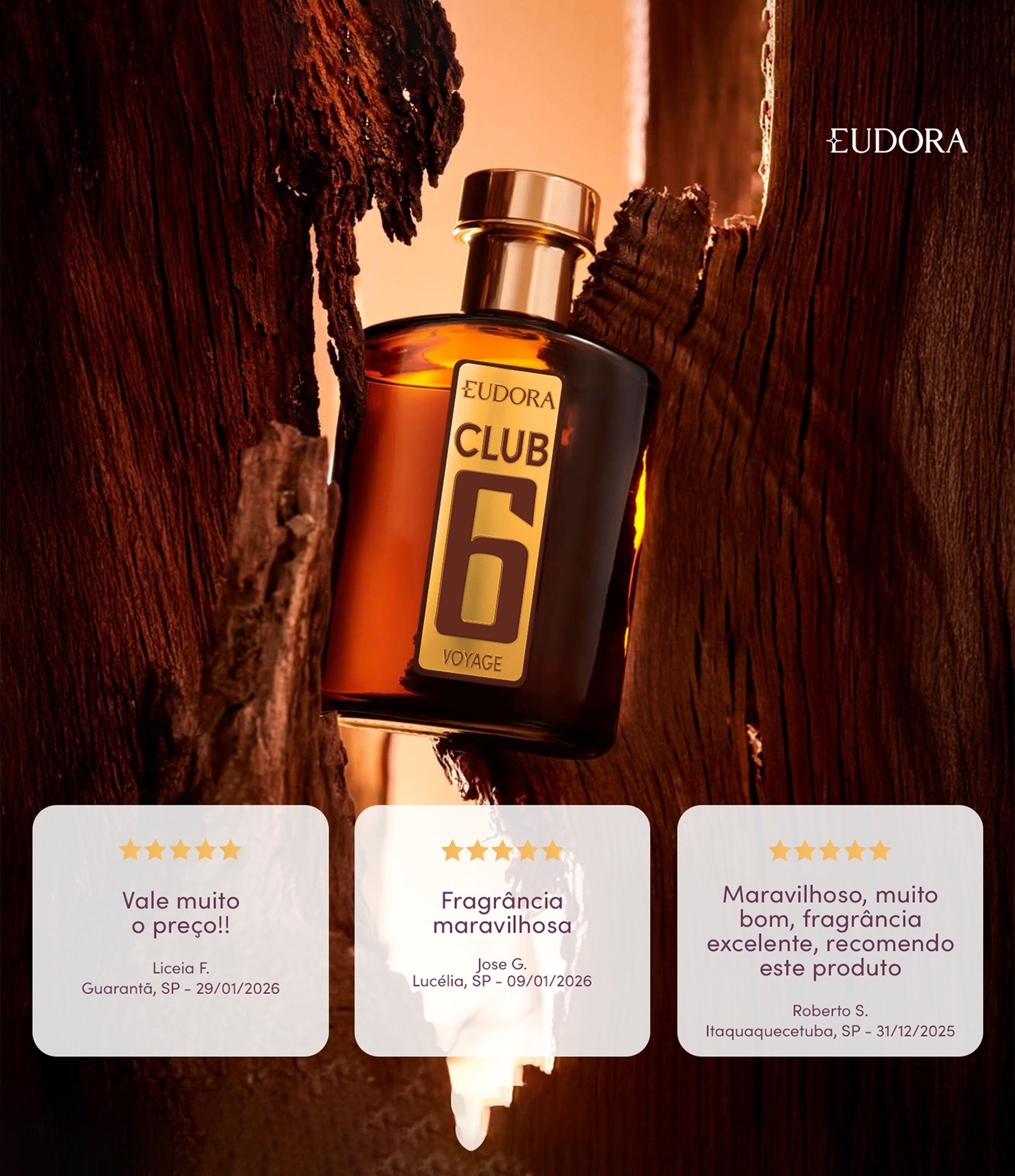 Perfume Club 6 Voyage Desodorante Colonia 95ml 3