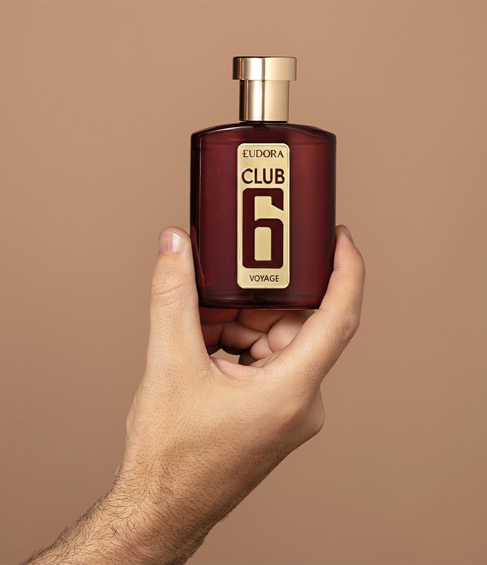 Perfume Club 6 Voyage Desodorante Colonia 95ml 5