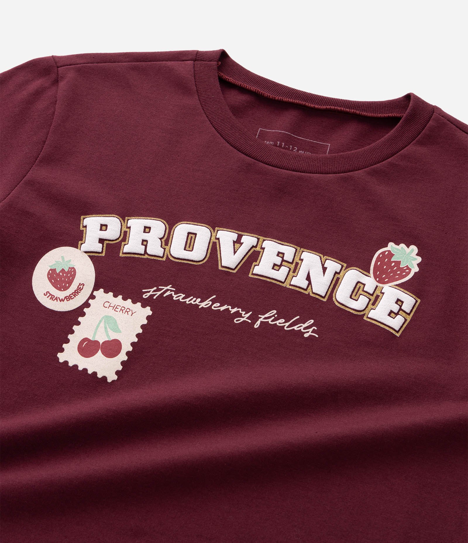 Camiseta Regular Infantil com Estampa Morangos - Tam 5 a 16 Anos Vermelho 4