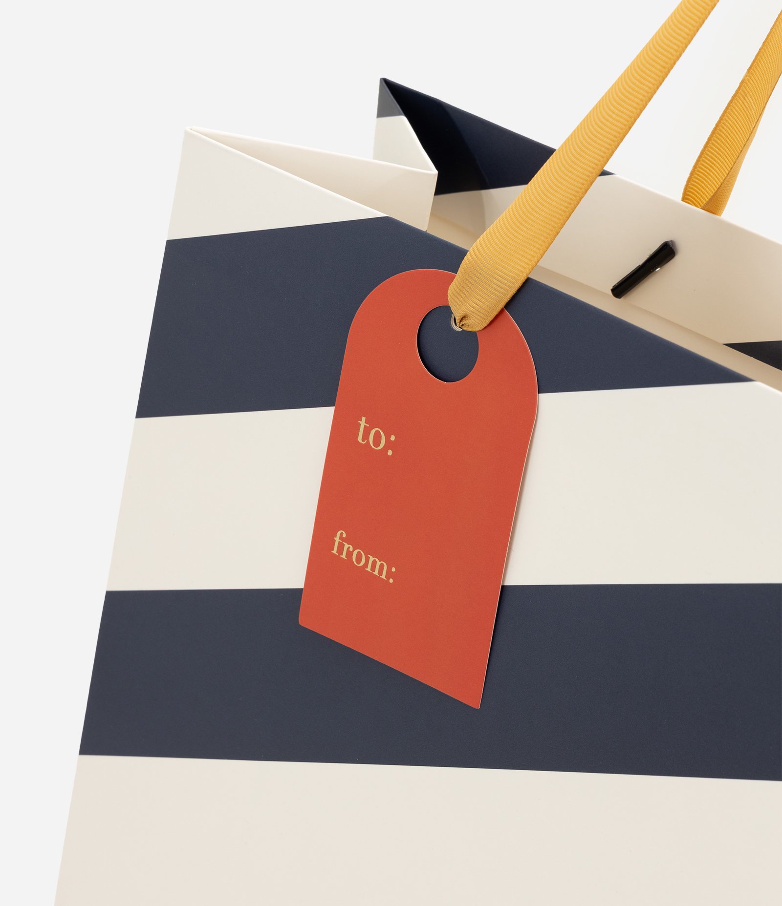 Embalagem para Presente Médio em Papel com Listras e Lettering Azul 2