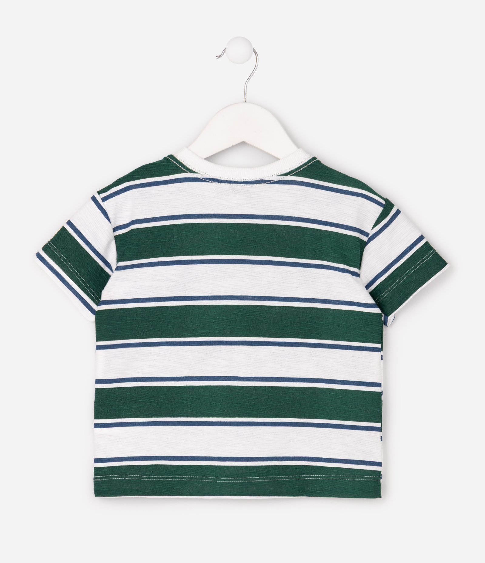 Camiseta Infantil em Algodão com Bordado e Estampa Listrada - Tam 2 a 6 Anos Verde/Branco 3