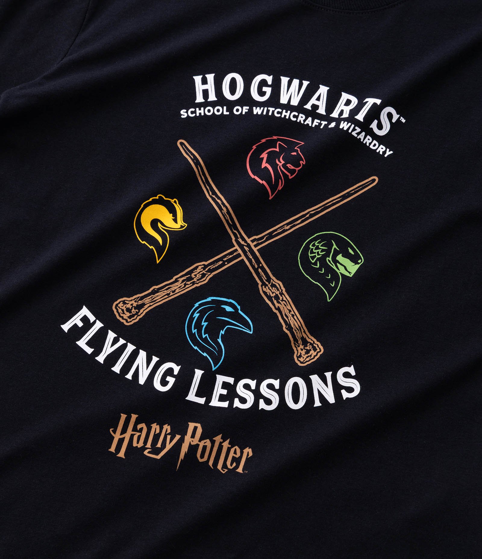 Camiseta em Algodão Harry Potter Flying Lessons - Tam 5 a 14 Anos Preto 4