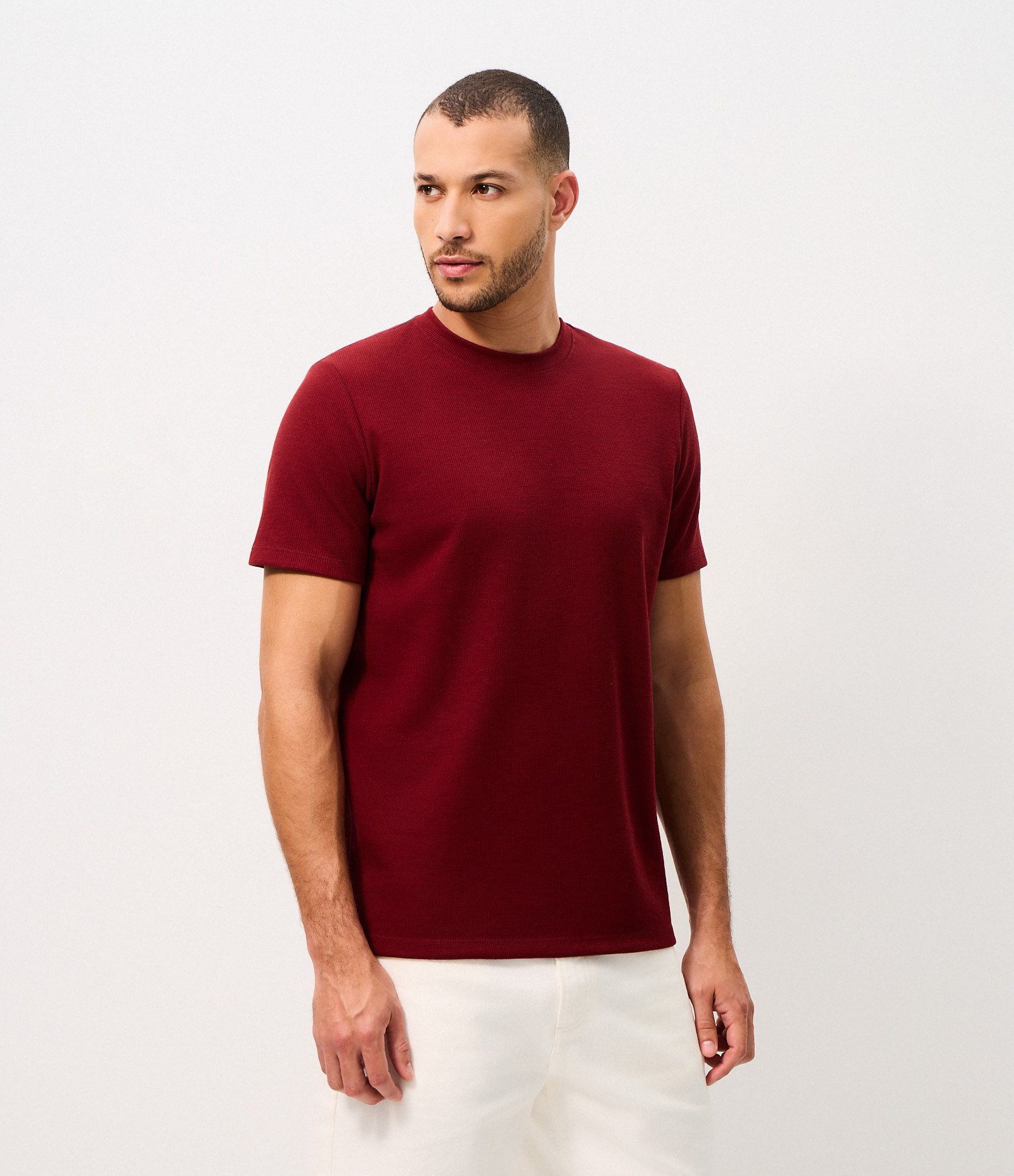 Camiseta Regular em Algodão com Textura Vinho 1