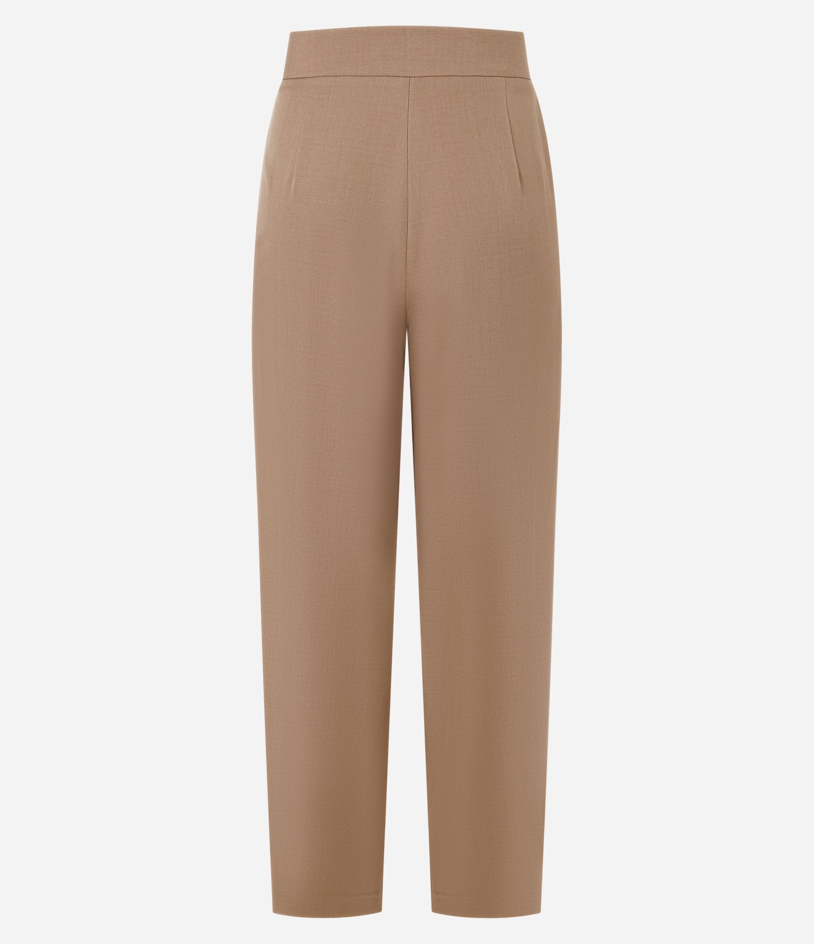 Calça Wide Leg Alfaiatada com Pregas Frontais Bege 6