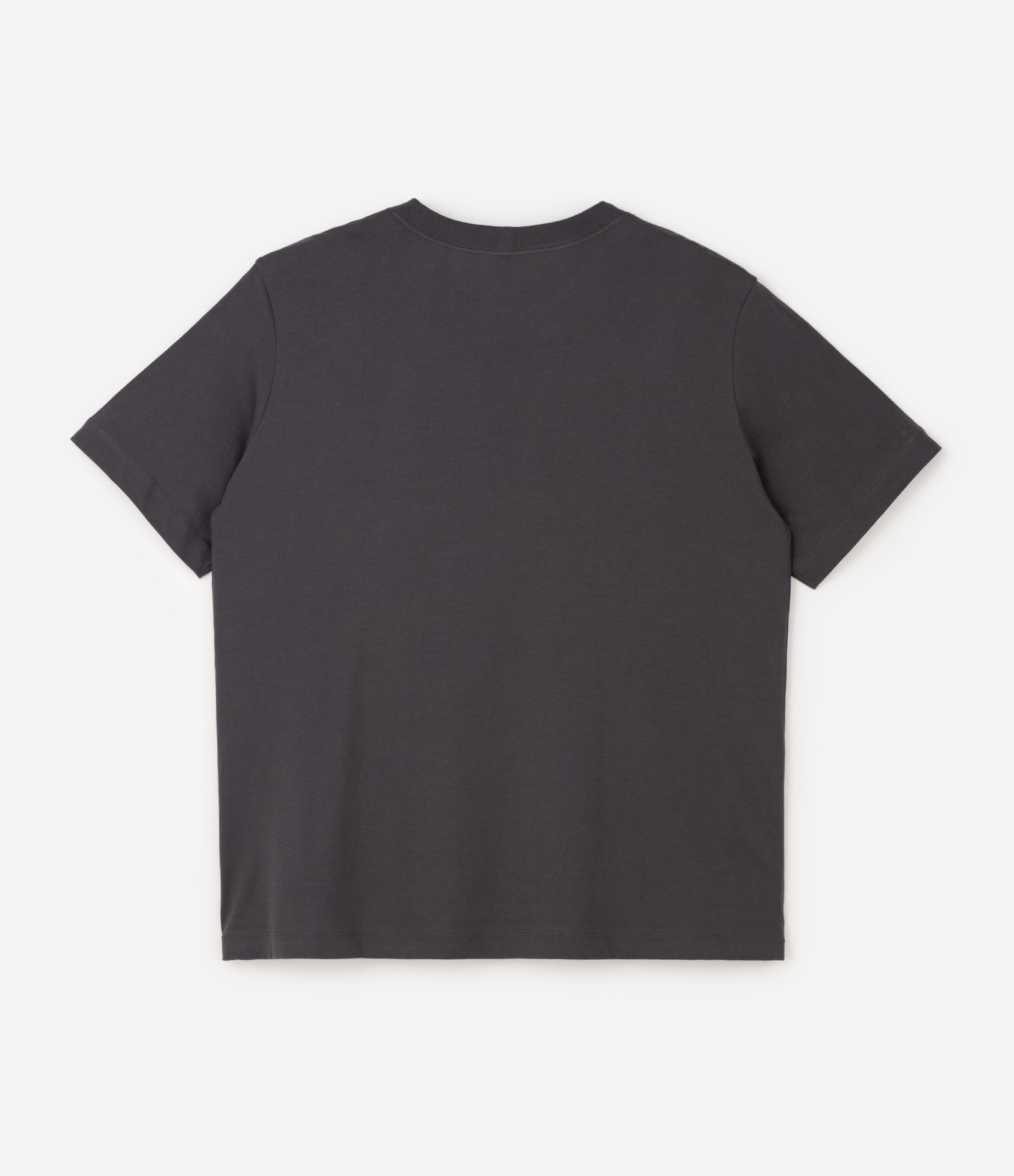 Camiseta Básica em Algodão Peruano Curve & Plus Size Cinza 6