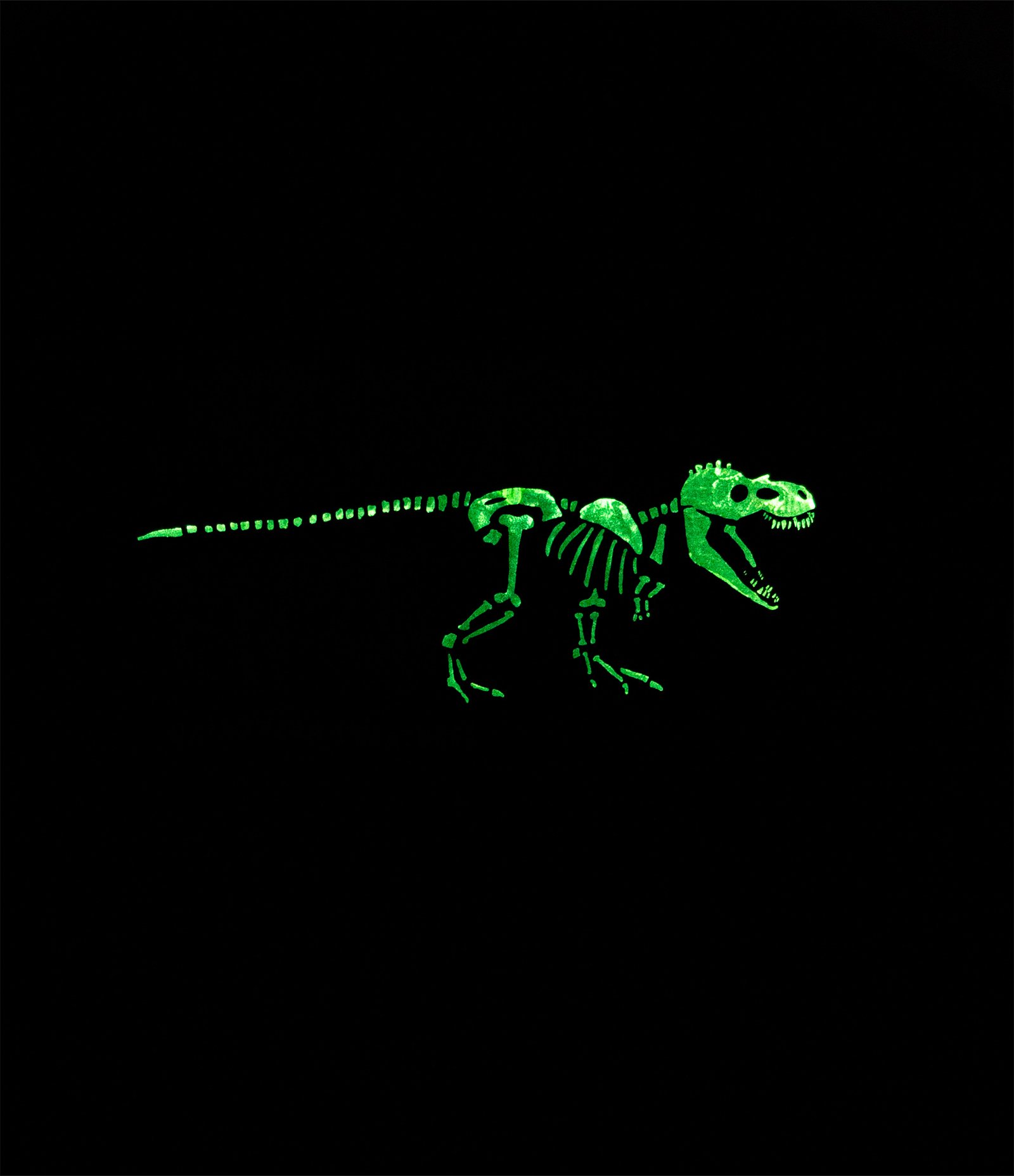 Camiseta Infantil com Estampa Dinossauro Brilha No Escuro - Tam 5 a 14 Anos Preto 5