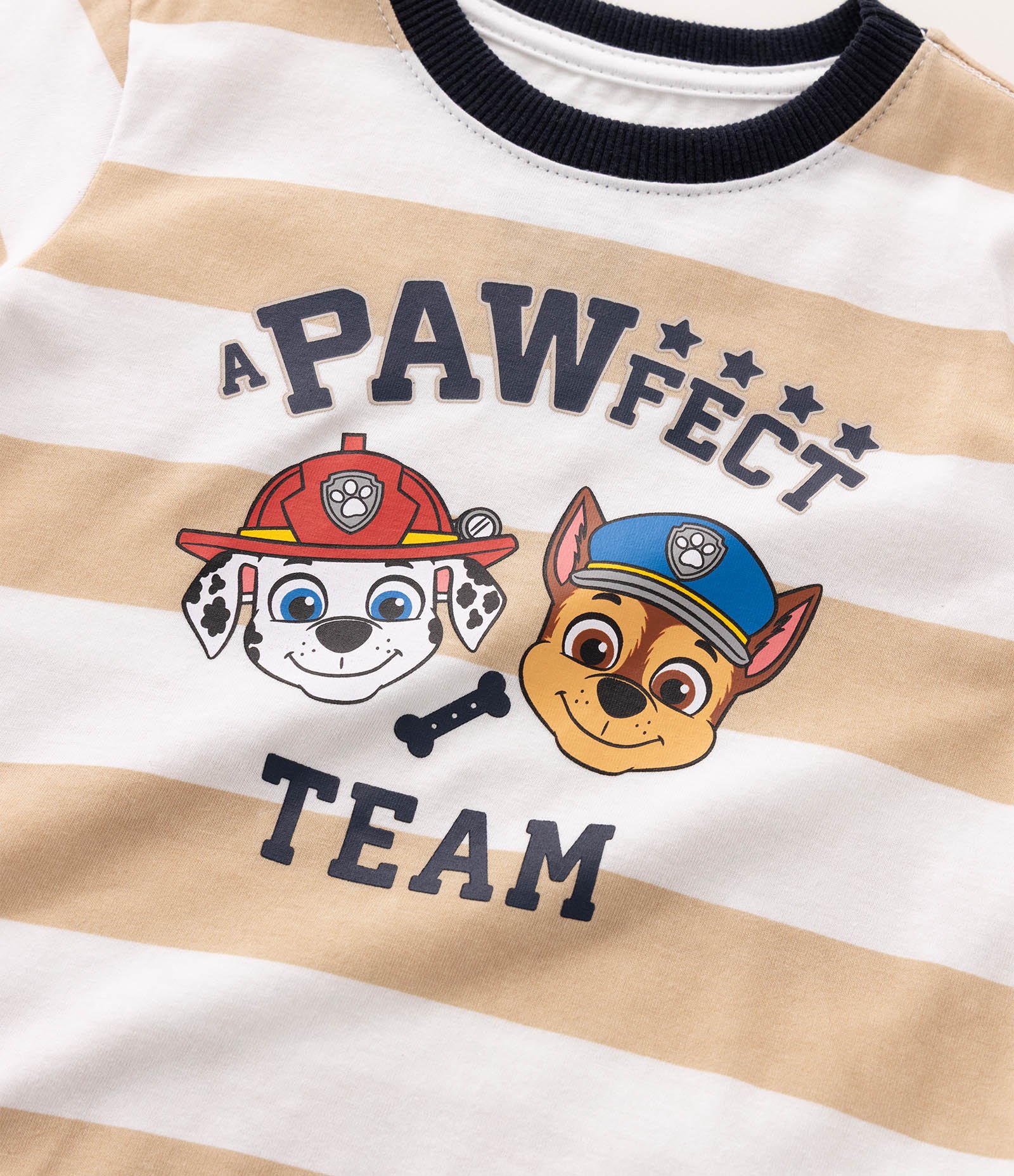 Camiseta Infantil com Estampa Patrulha Canina em Relevo - Tam 2 a 6 Anos Bege 6
