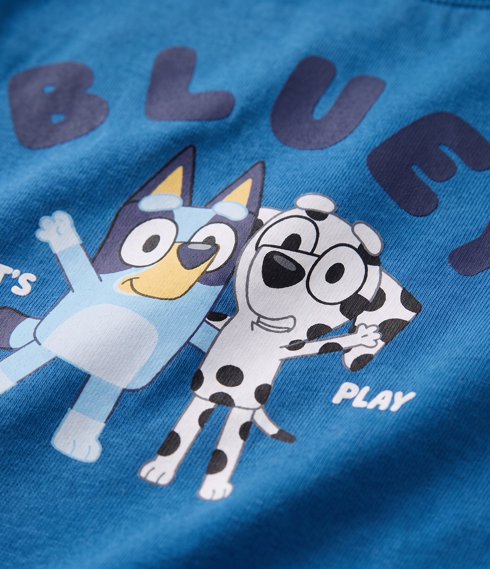 Camiseta Infantil em Algodão Estampa Bluey - Tam 2 a 6 anos Azul 3