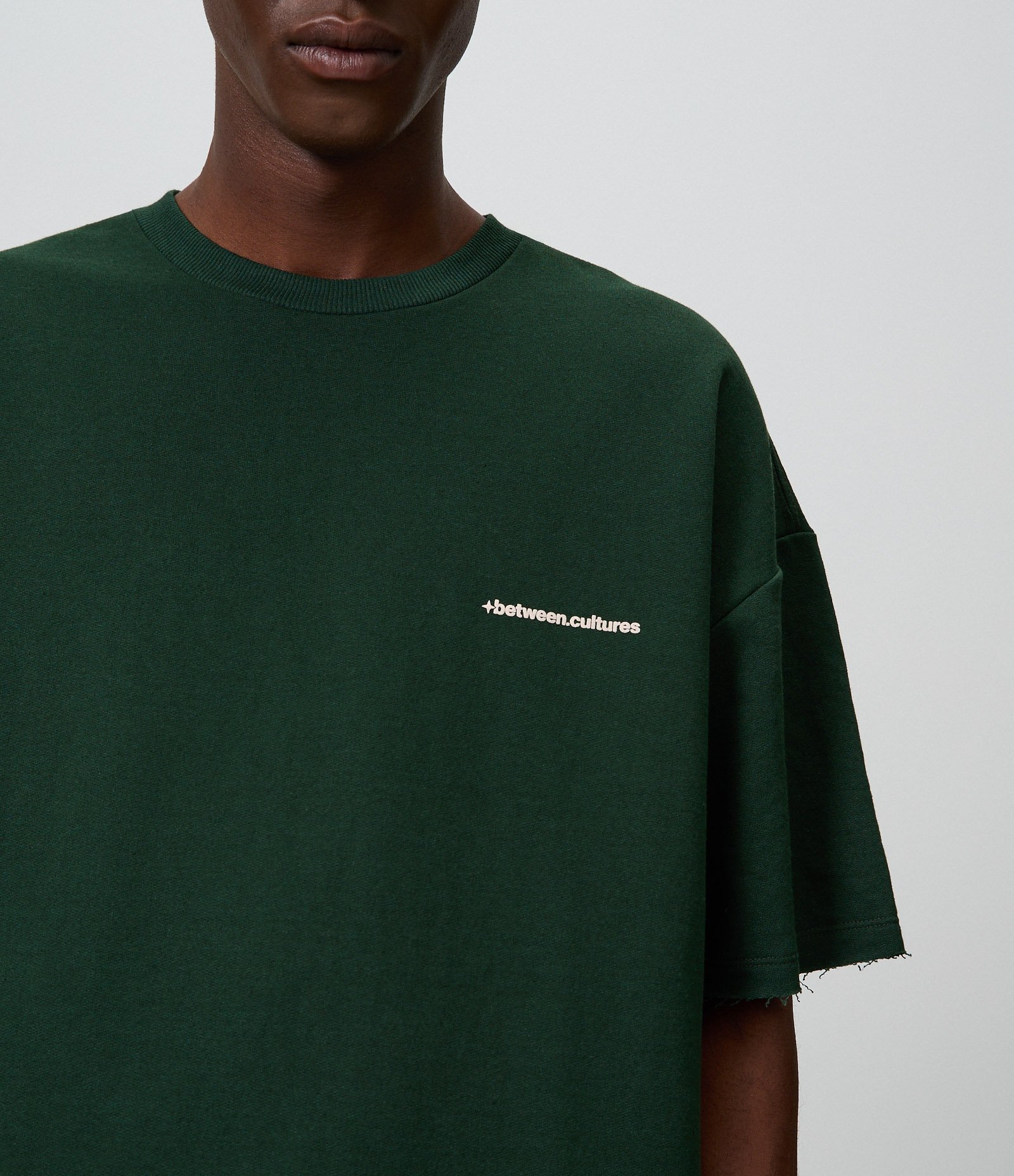 Camiseta Oversized Worldwide Series Verde 3