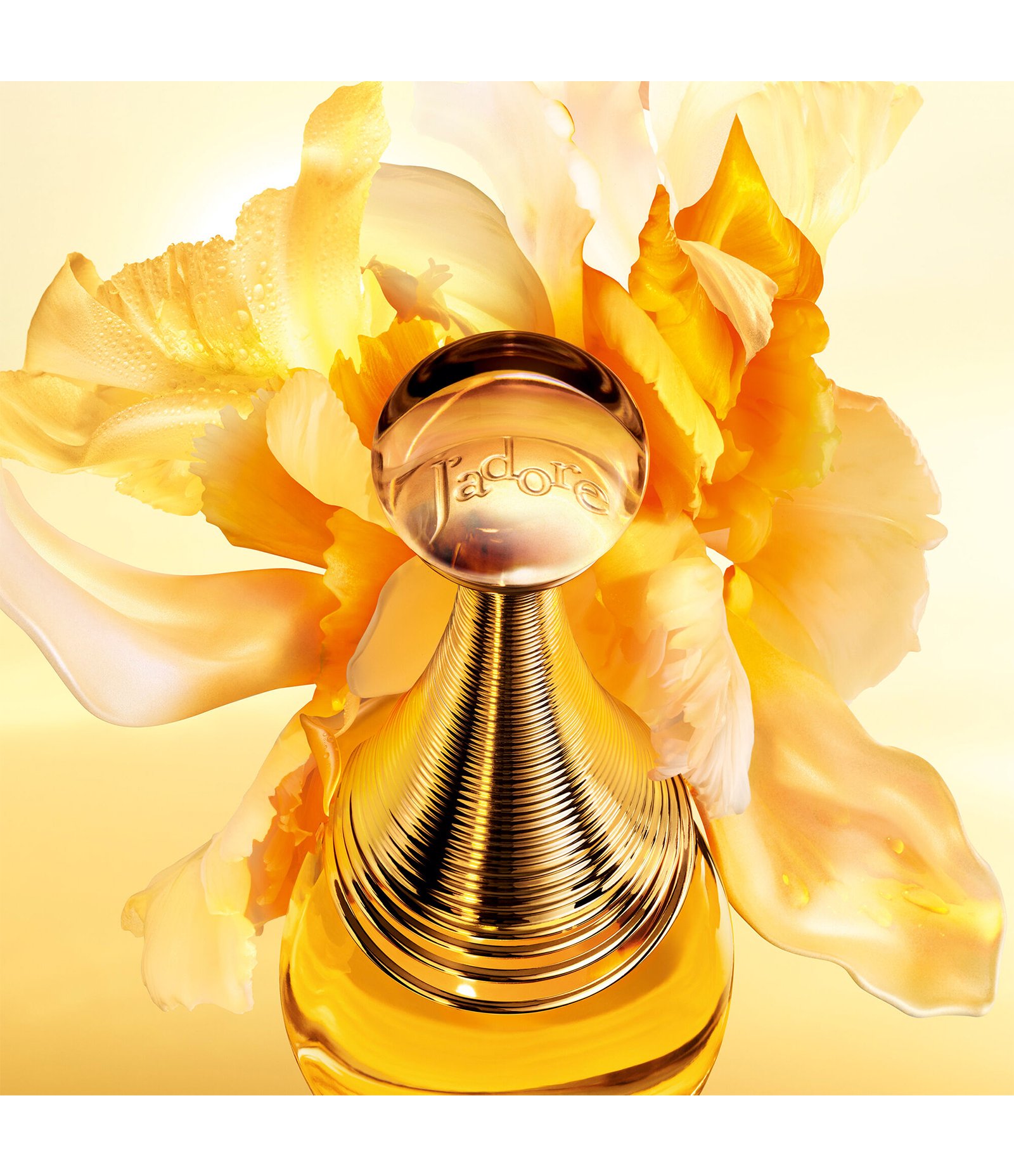 Perfume Dior J'adore Feminino Eau De Parfum 50ml