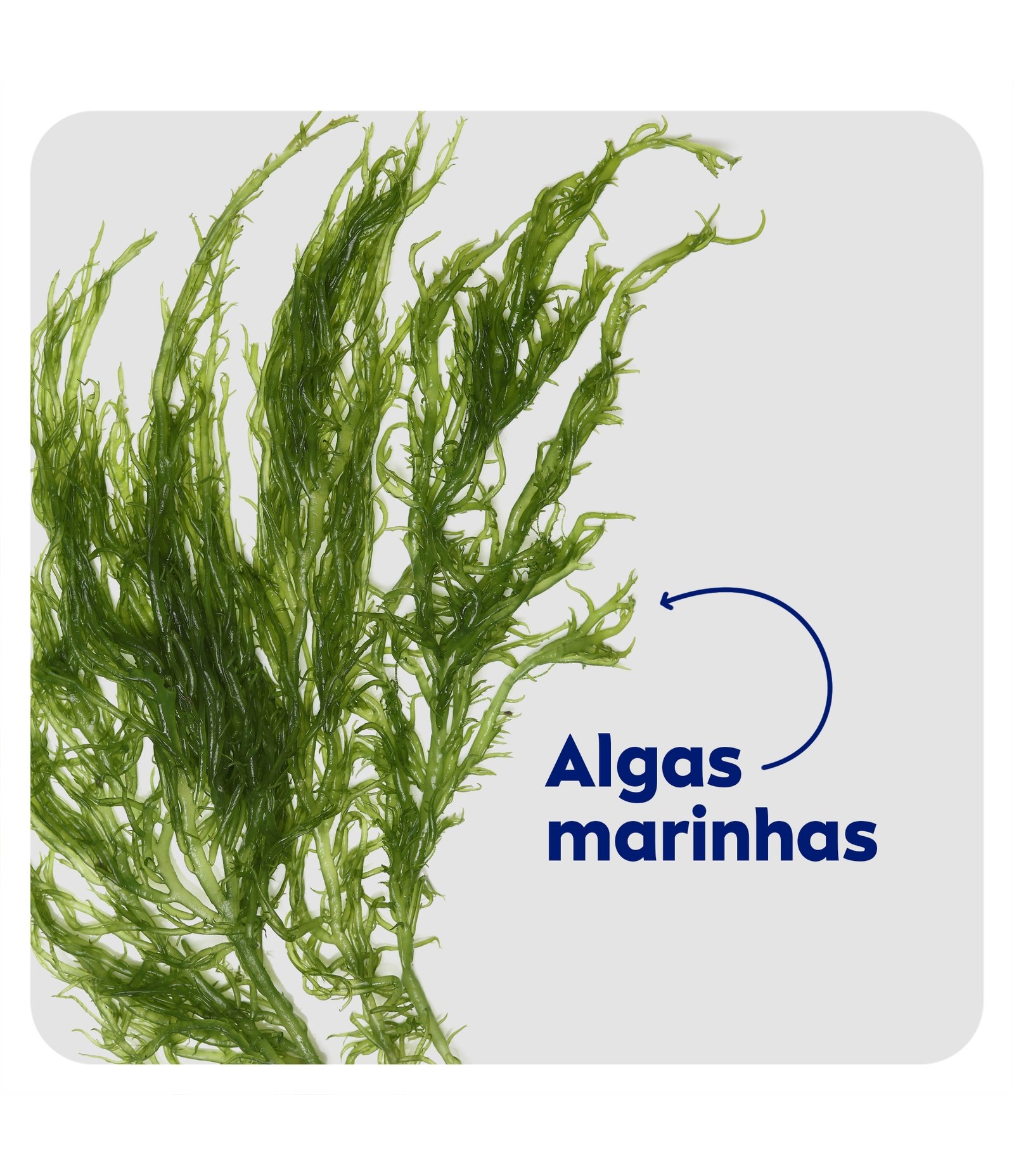 Tônico Facial Controle do Brilho Nivea 200ml 6