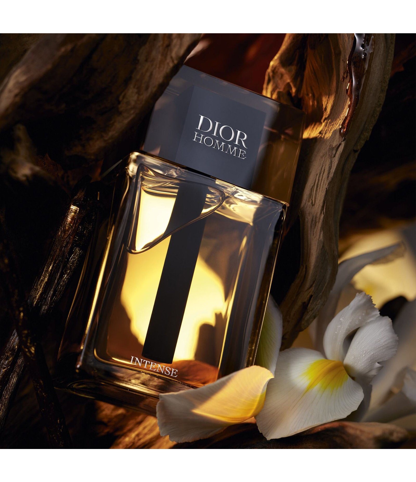 Perfume Dior Homme Intense Eau de Parfum Masculino- Dior 50ml 4