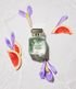 Imagem miniatura do produto Perfume Femenino Antonio Banderas Queen Of Seduction Eau De Toilette 50ml 3