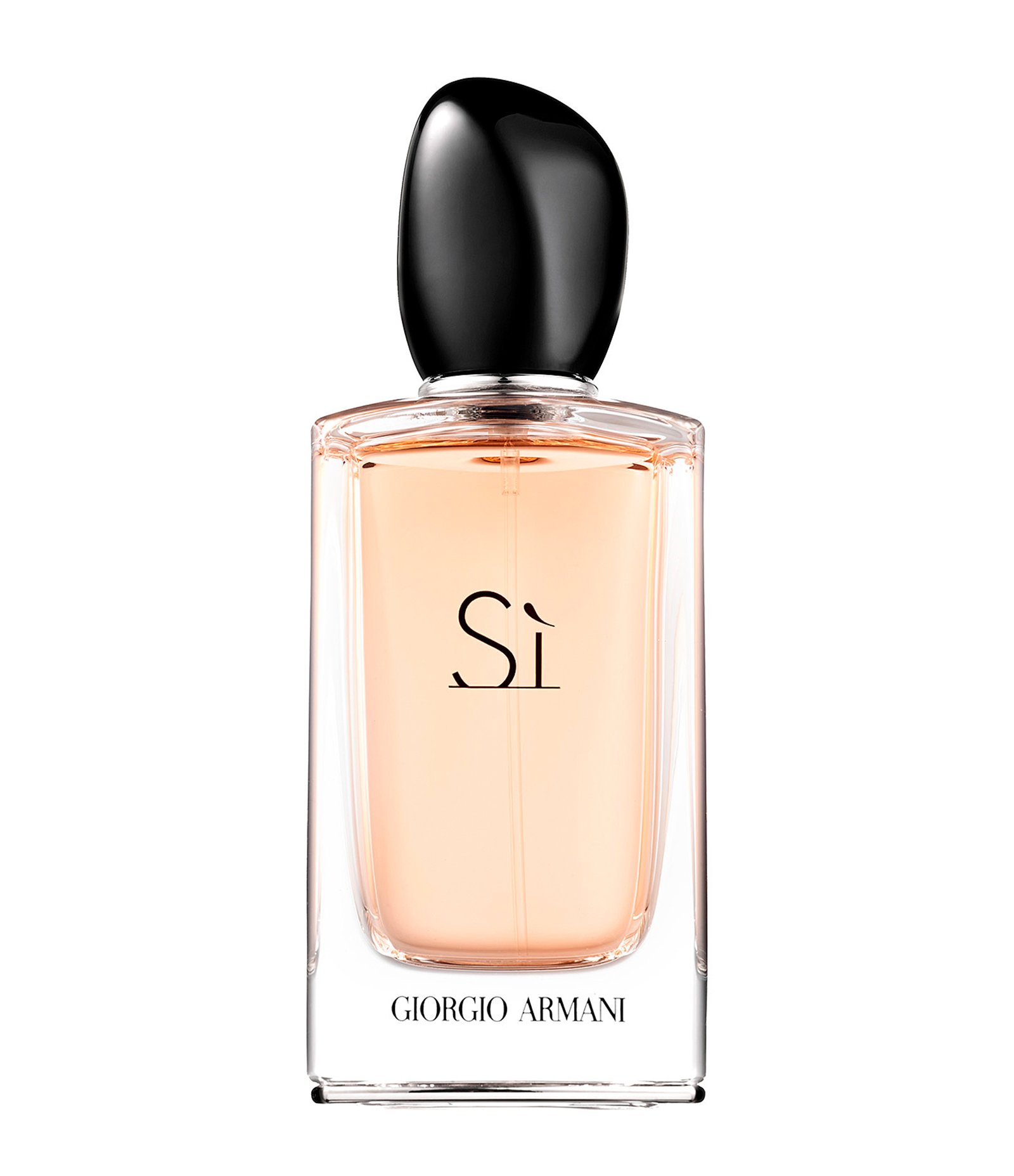 Perfume Giorgio Armani Si Feminino Eau de Parfum 100ml