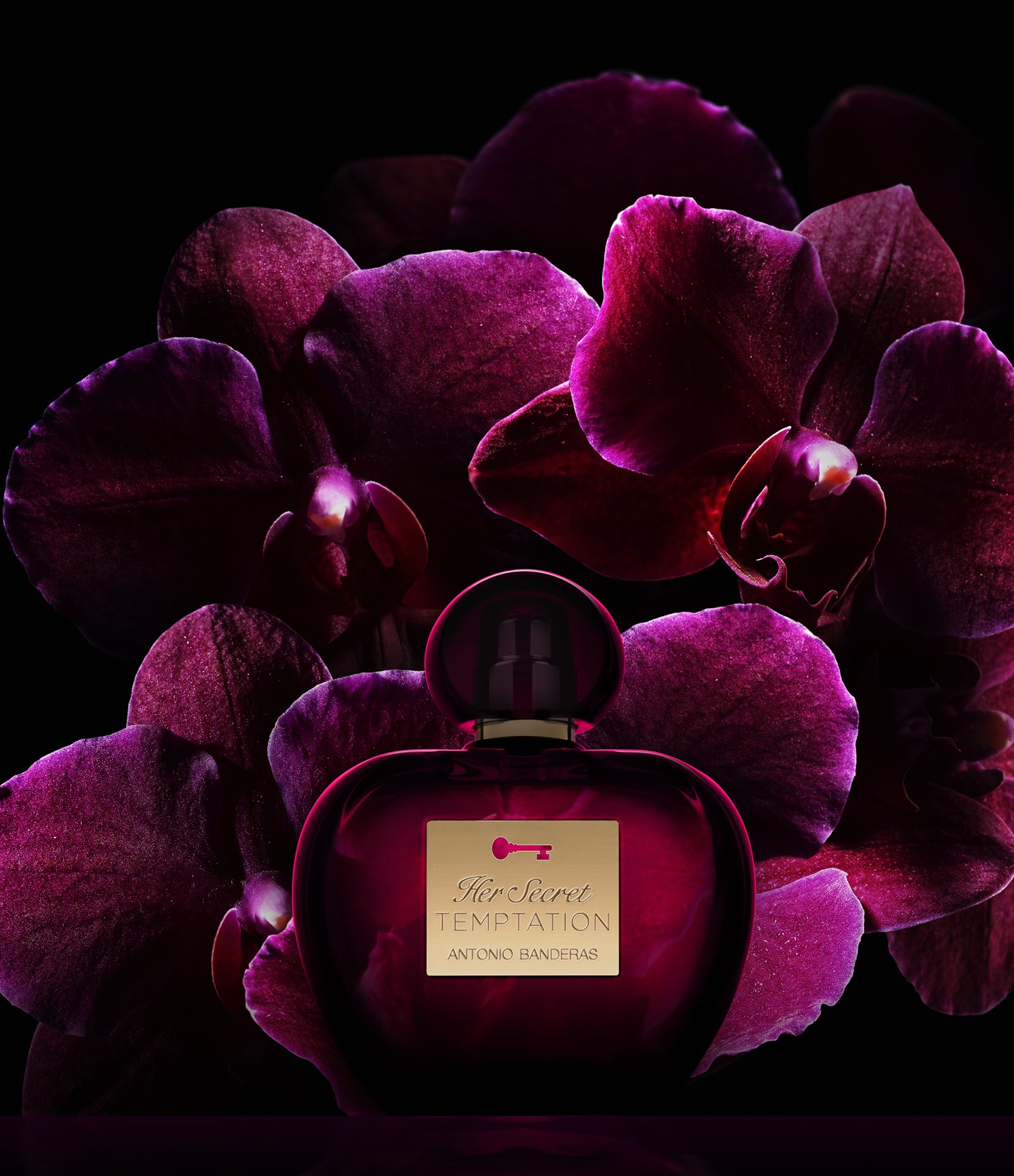 Perfume Antonio Banderas Her Secret Temptation Feminino Eau de Toilette 50ml 7