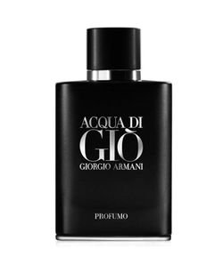 Perfume Giorgio Armani Acqua Di Giò Profumo Masculino Eau de Parfum