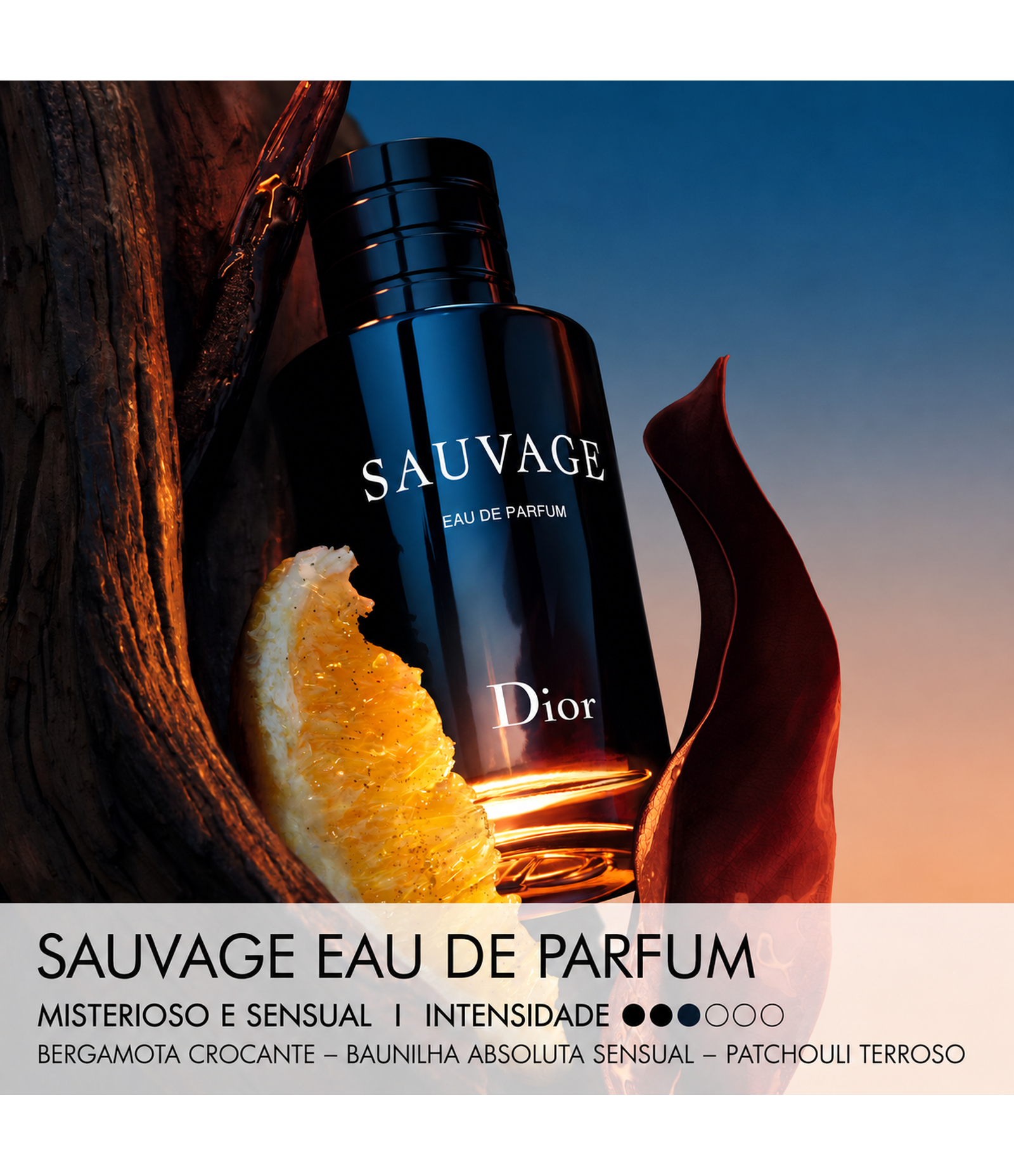 Perfume Sauvage Dior EDP 100ml