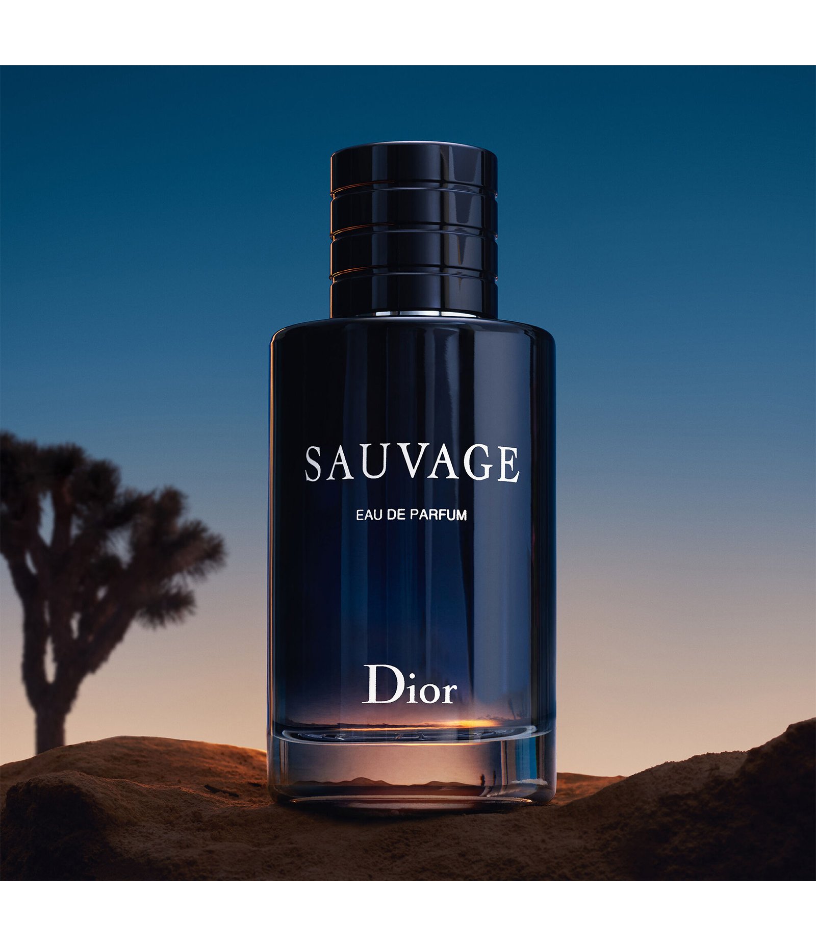 Perfume Dior Sauvage Masculino Eau De Parfum 60ml 3