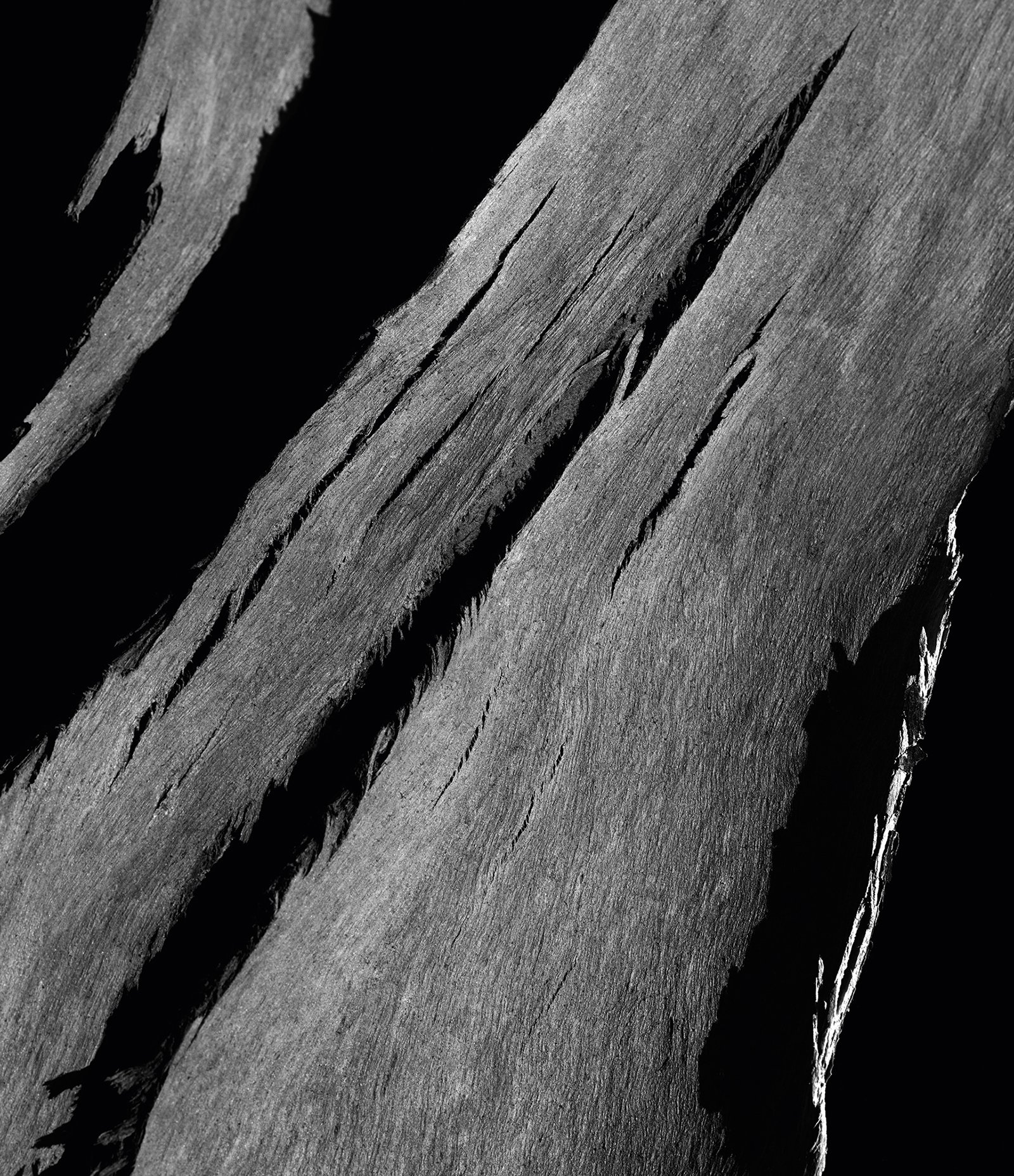 Perfume Givenchy L'Interdit Feminino Eau de Parfum 50ml 6