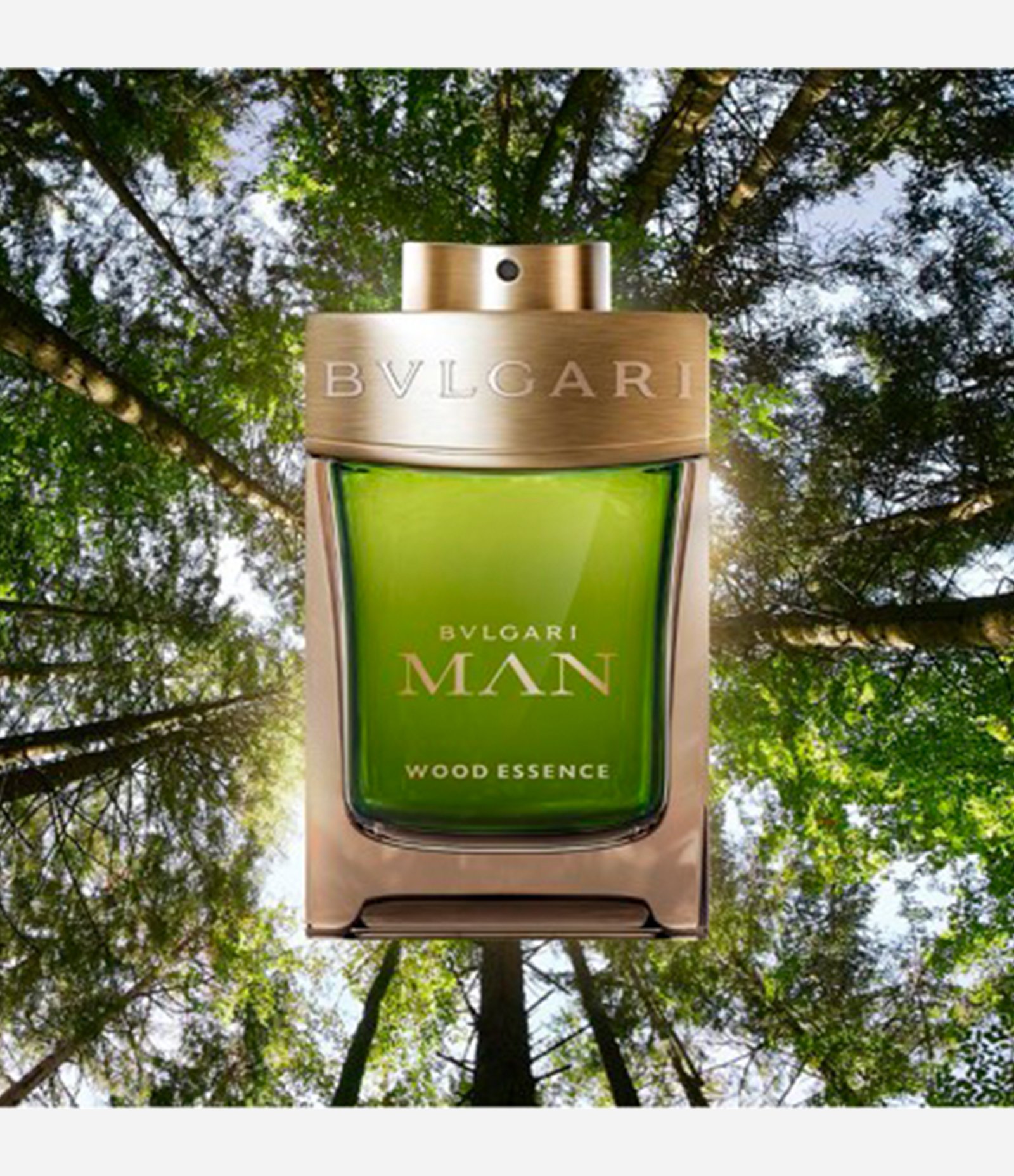 Perfume Bvlgari Man Wood Essence Masculino Eau de Parfum 100ml 4