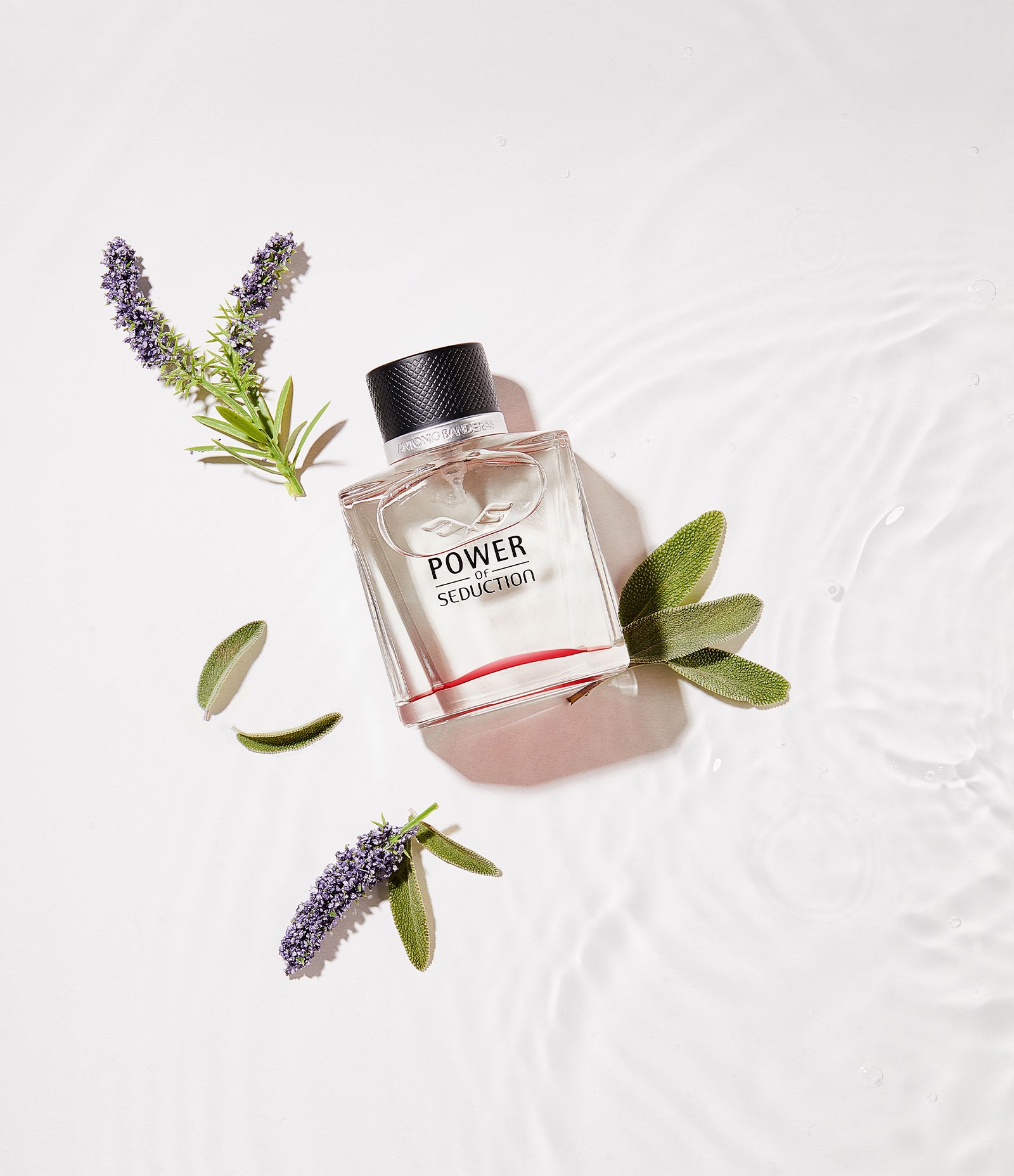 Perfume Masculino Antonio Banderas Power Of Seduction Eau de Toilette  200ml 3