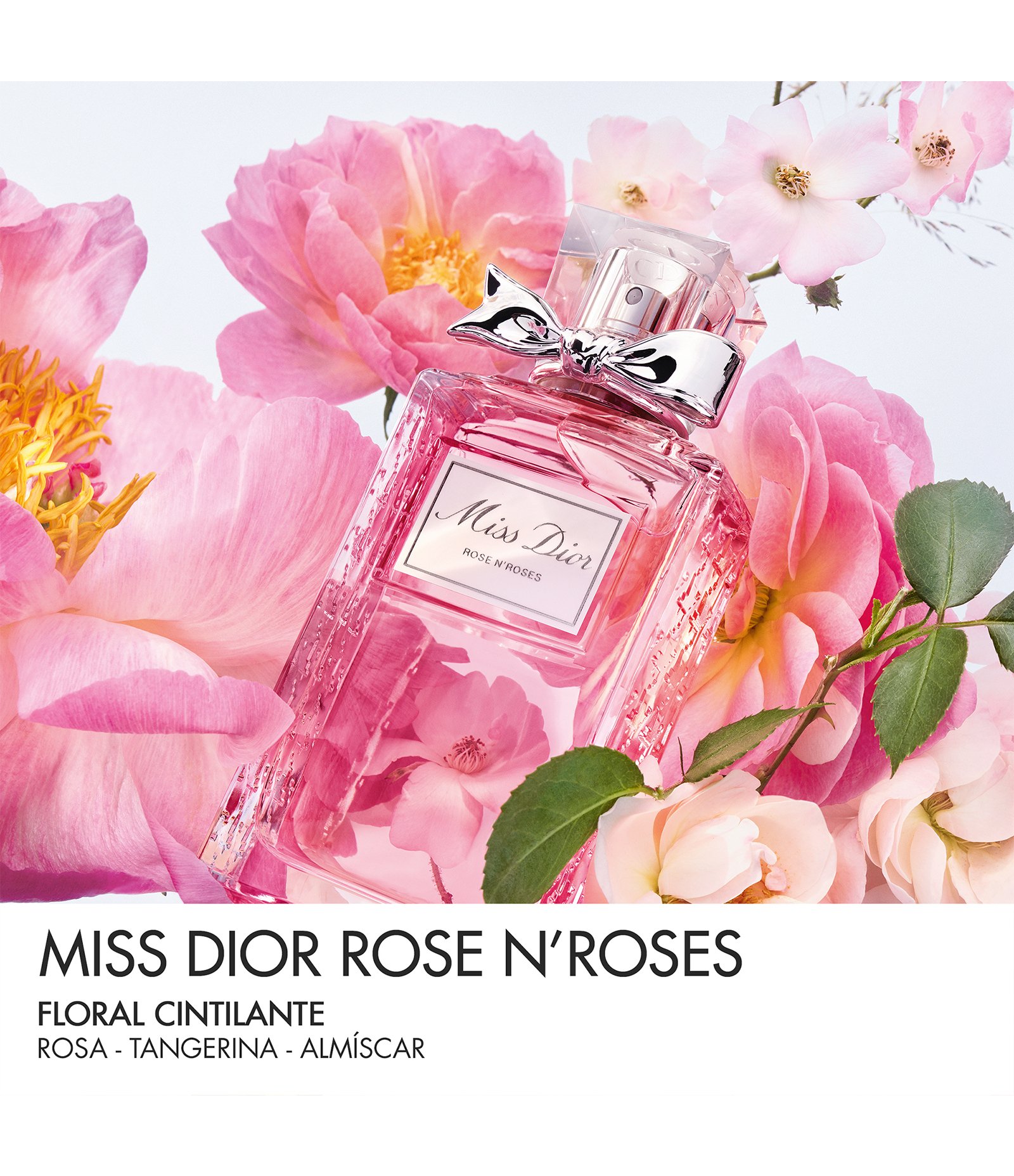 Perfume Miss Dior Rose N'Roses Feminino Eau de Toilette  100ml 3