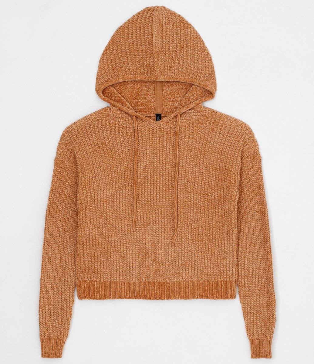 brown bear moletom com capuz with ears