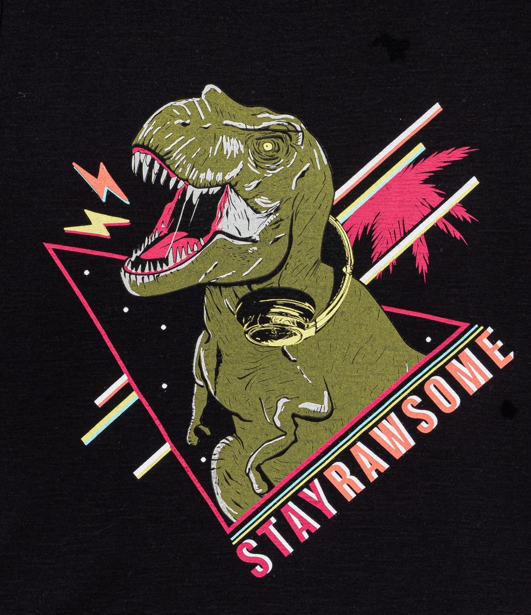 Camiseta Infantil Dinossauro - Tam 5 a 14 anos Preto - Renner