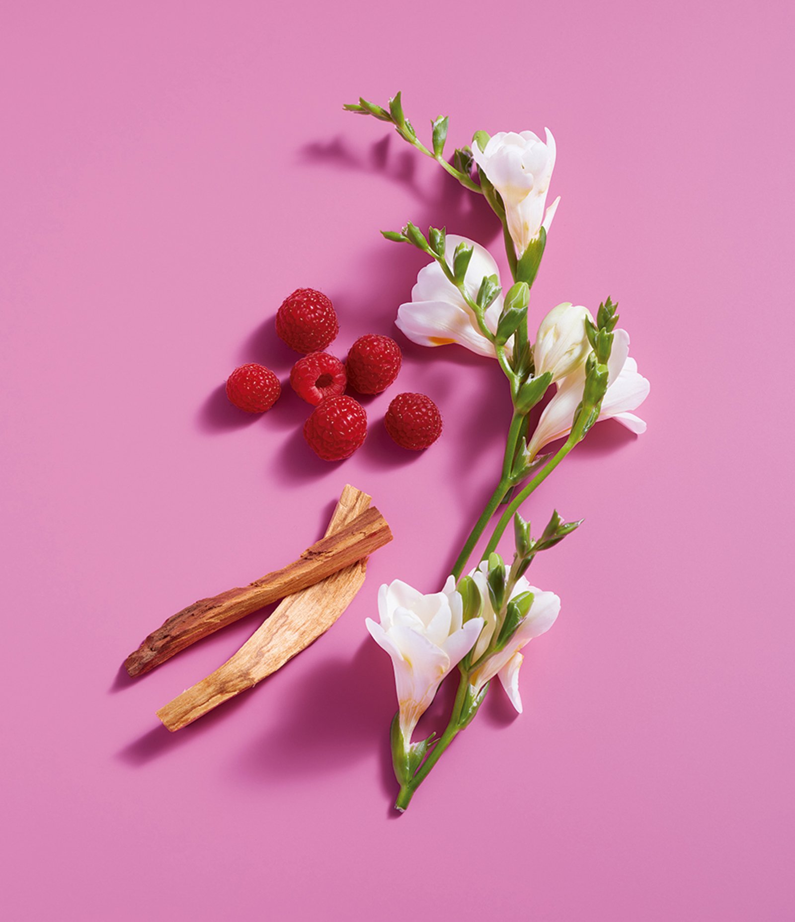 Perfume Feminino Benetton Sisterland Pink Raspberry Eau de Toilette 80ml 9