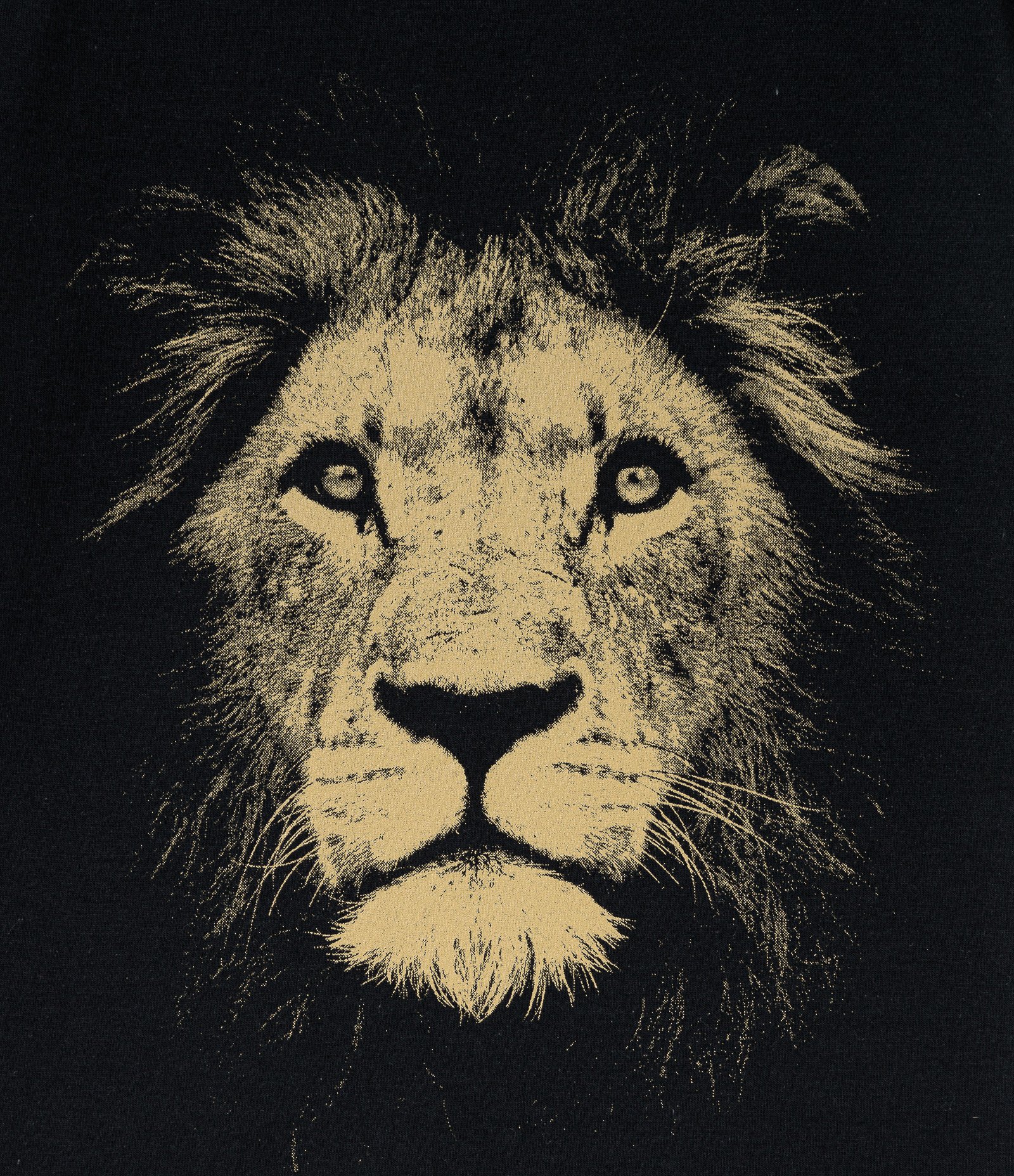 Camiseta Infantil Estampa de Leão - Tam 5 a 14 anos Preto 3