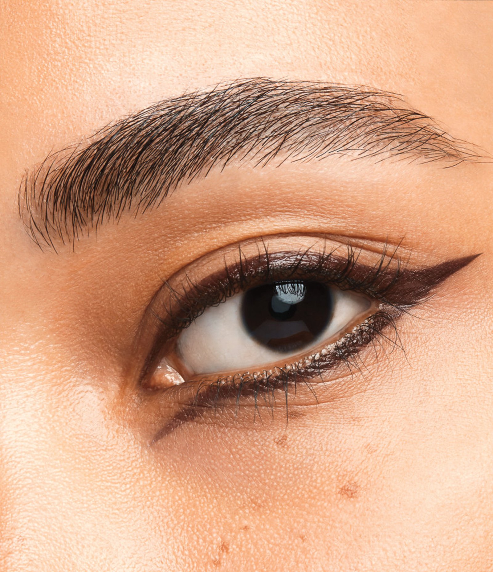 Lapis de Olhos Microliner Ink Shiseido 02 Brown 3