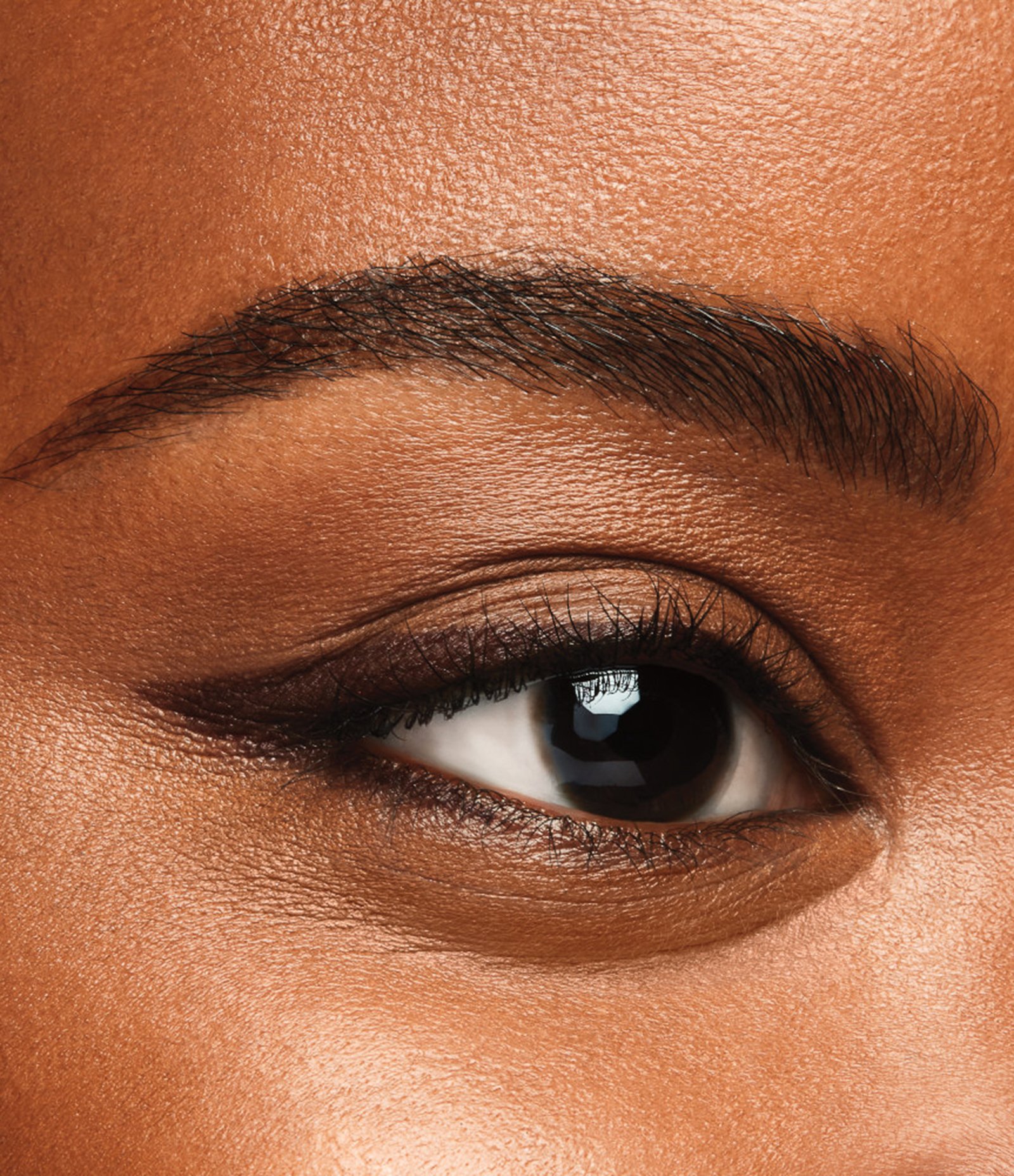 Lapis de Olhos Microliner Ink Shiseido 02 Brown 5