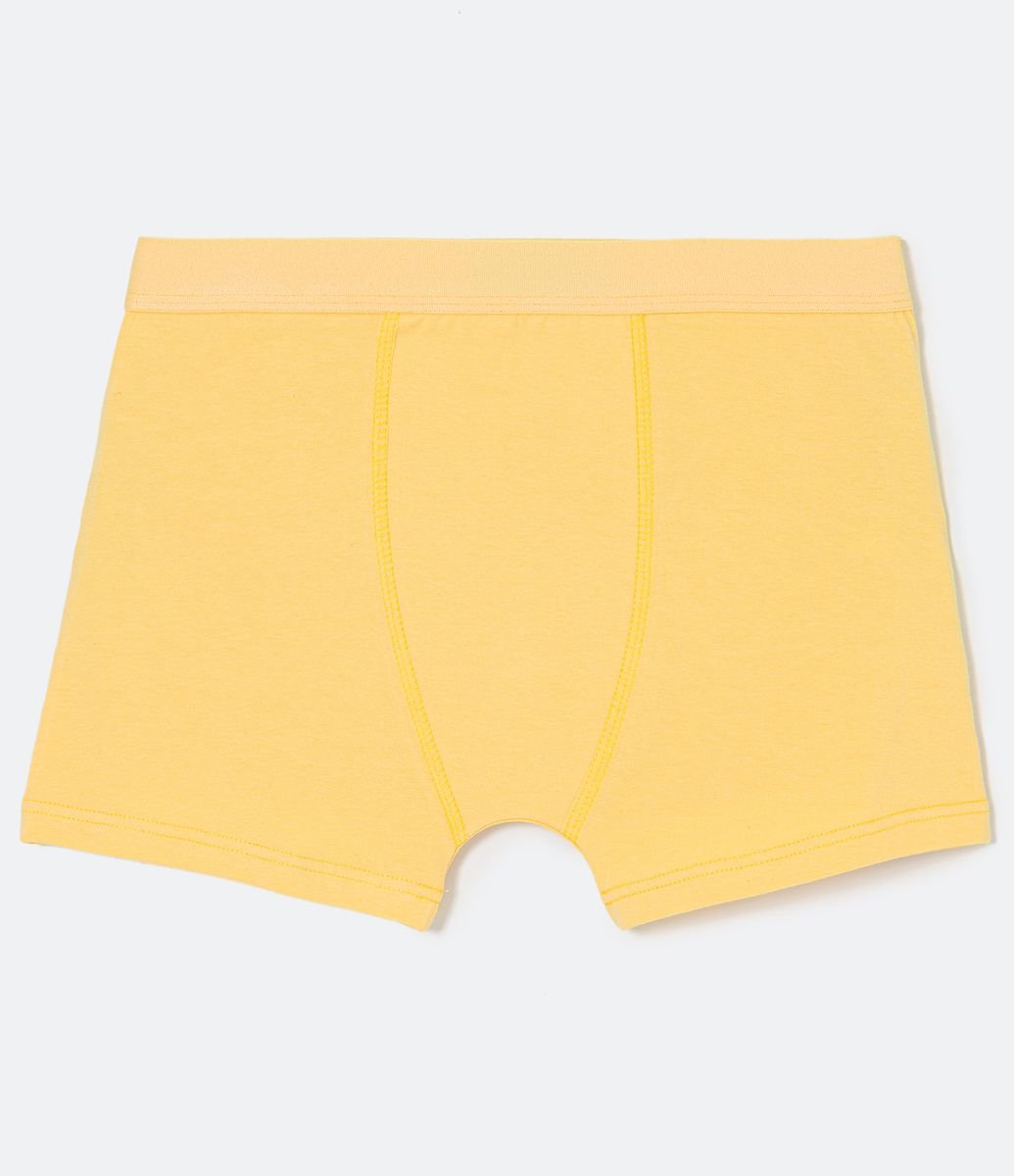 Cueca Boxer em Algodão sem Estampa é boa?