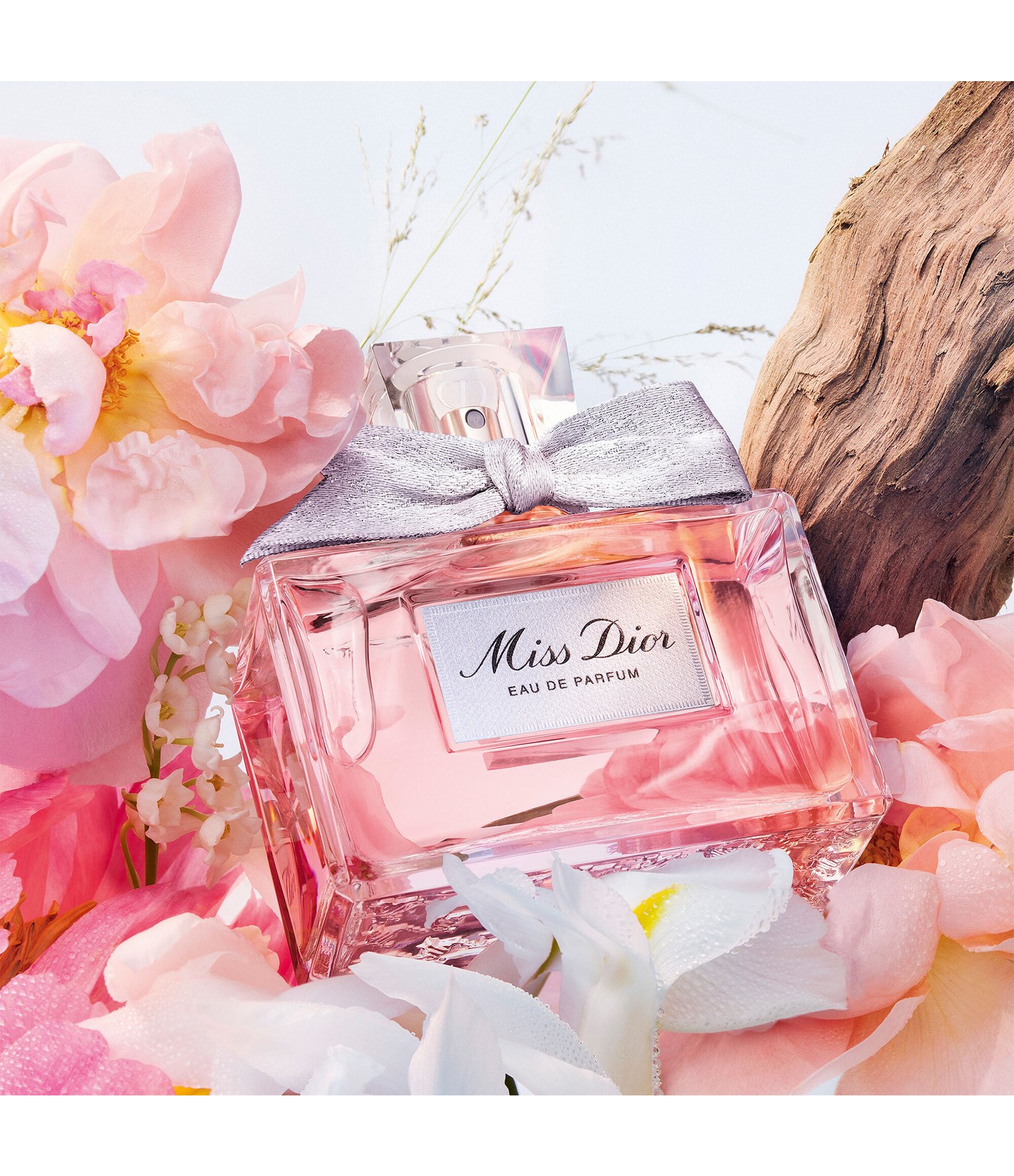 Perfume Feminino Miss Dior Eau de Parfum 50ml