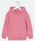 Imagem miniatura do produto Sudadera Infantil en Algodón con Capucha y Bolsillo Canguro - Talle 5 a 14 años Rosado 1