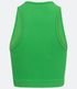 Imagem miniatura do produto Blusa Musculosa Cropped Básica en Poliamida Acanelada sin Costura Verde 2