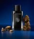 Imagem miniatura do produto Perfume Antonio Banderas The Icon EDP 50ml 11