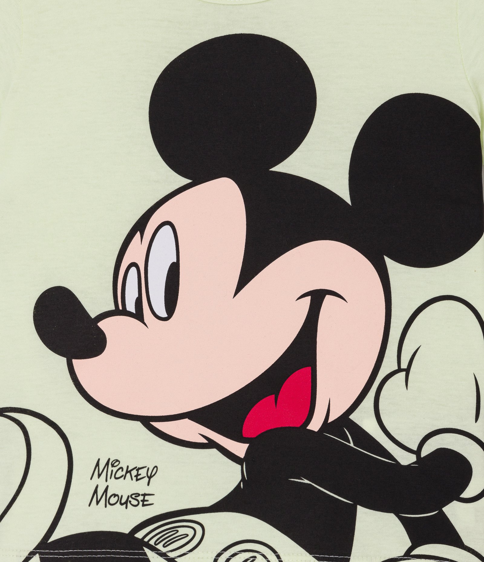 Camiseta Infantil com Estampa do Mickey - Tam 1 a 5 anos Verde 9