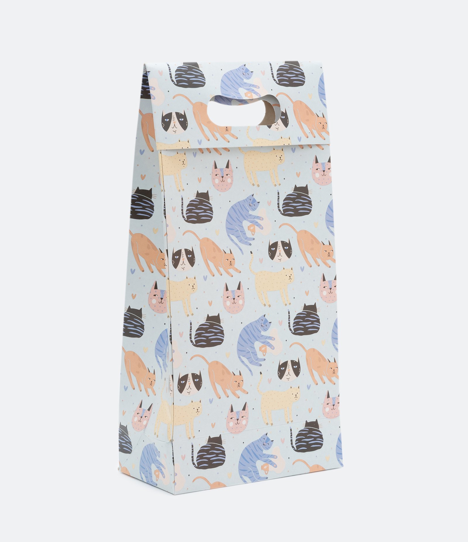 Embalagem de Presente com Estampa de Gatinhos Azul 1