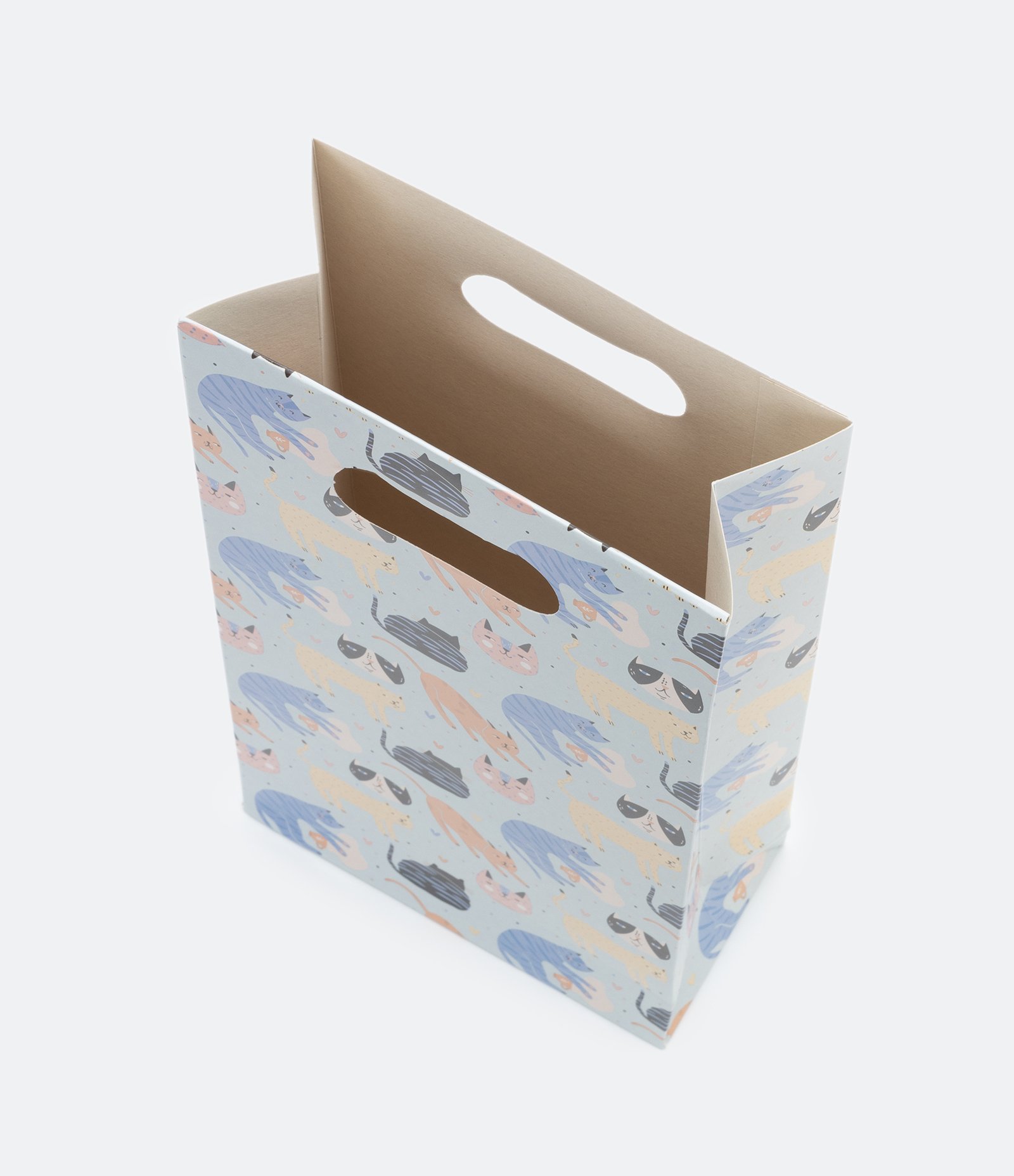 Embalagem de Presente com Estampa de Gatinhos Azul 2