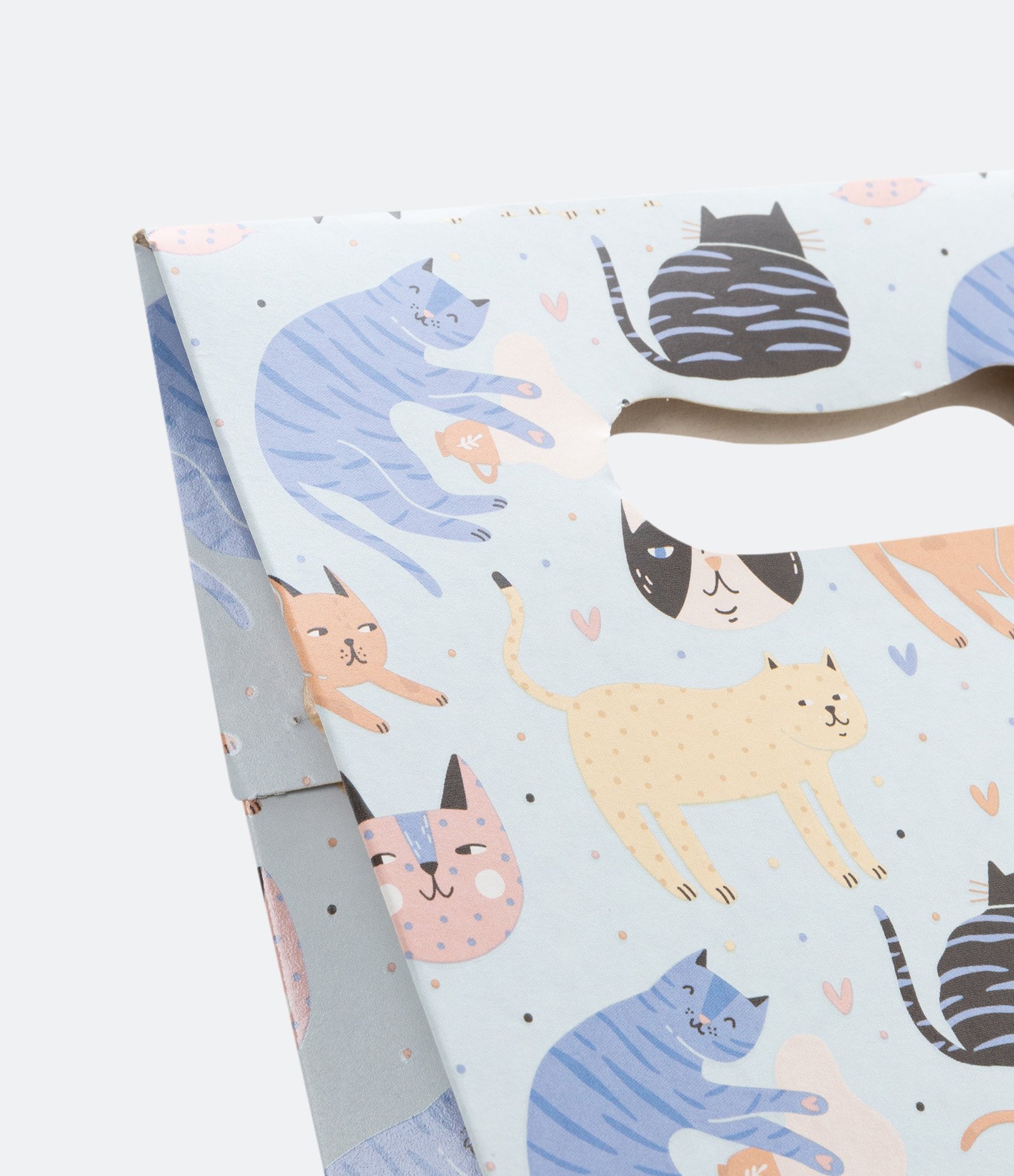 Embalagem de Presente com Estampa de Gatinhos Azul 3