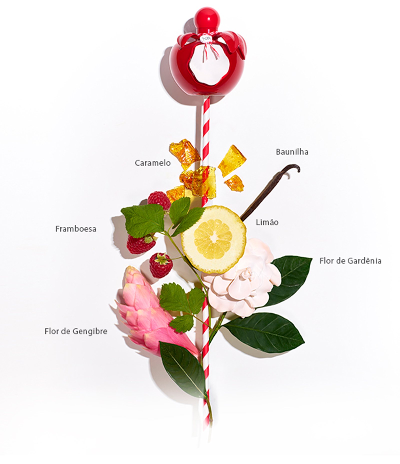 Perfume Nina Ricci Rouge Feminino Eau de Toilette 3