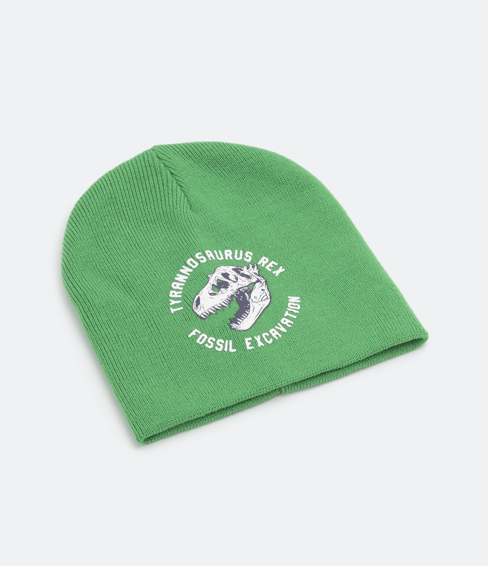 Gorro Infantil Estampa Esqueleto de Dinossauro com Lettering Verde 1