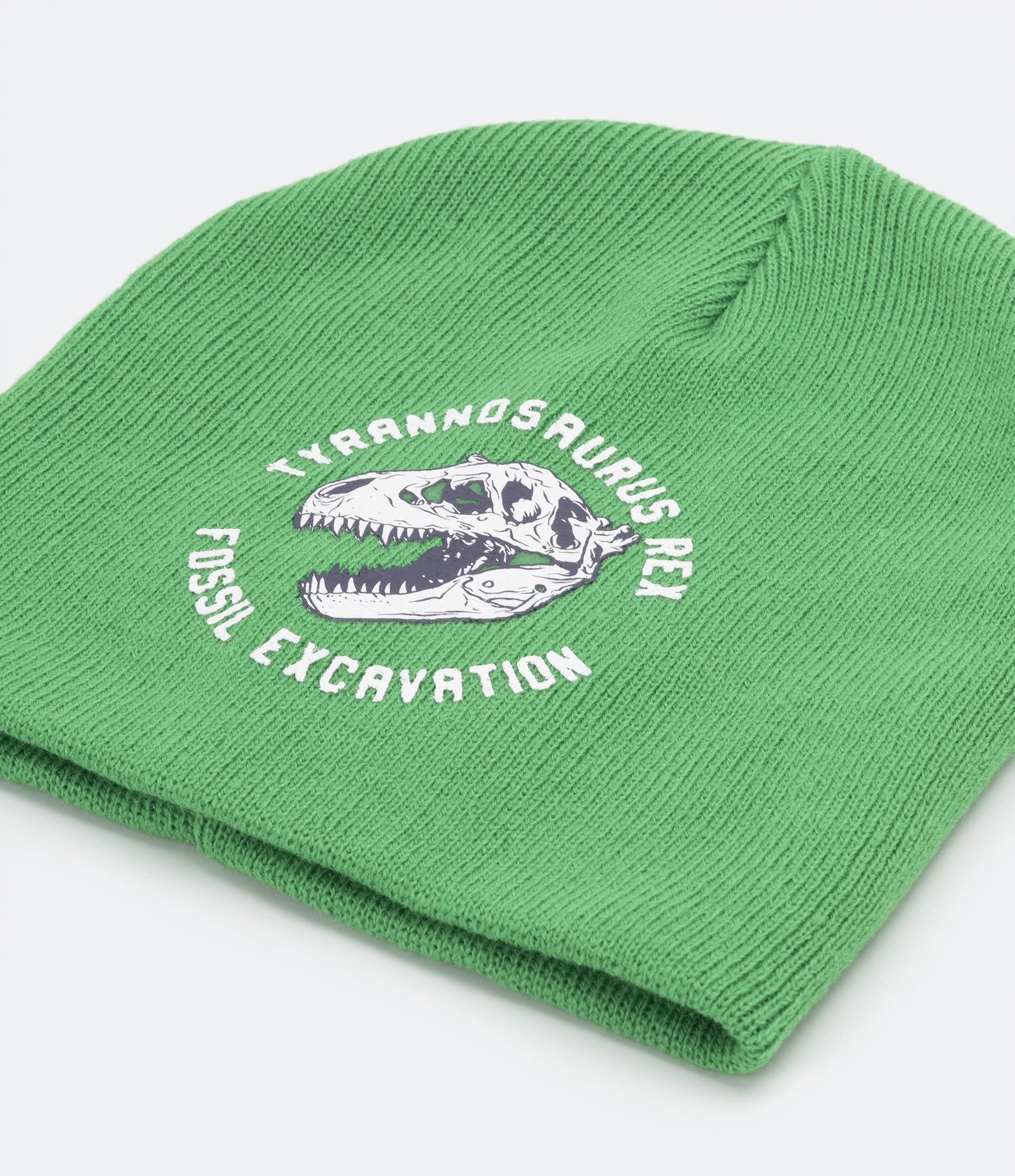 Gorro Infantil Estampa Esqueleto de Dinossauro com Lettering Verde 2